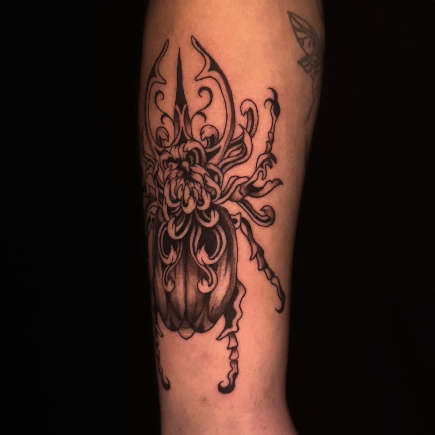 i love flowers and florals and bugs and florals and bugs plssss hmu for more flowers and bugs and florals and bugs 

#apprenticetattoos #tattooapprenticeship #alexhartart #dfwtattooartist #artistsoﬁnstagram