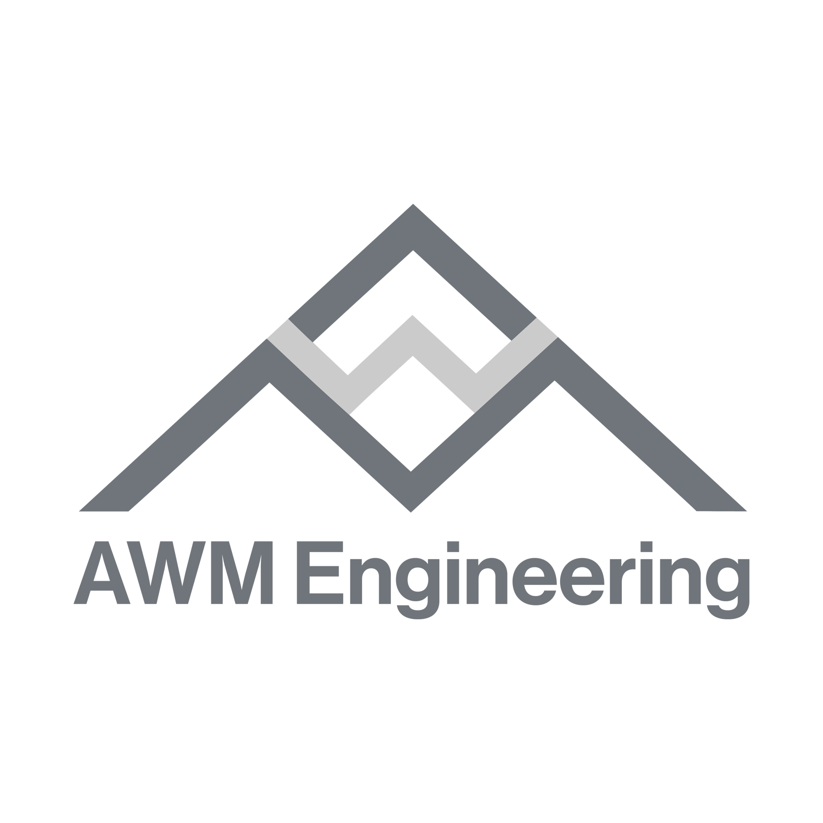 Due Diligence and Feasibility Studies in Engineering: Building Successful Projects from the Ground Up