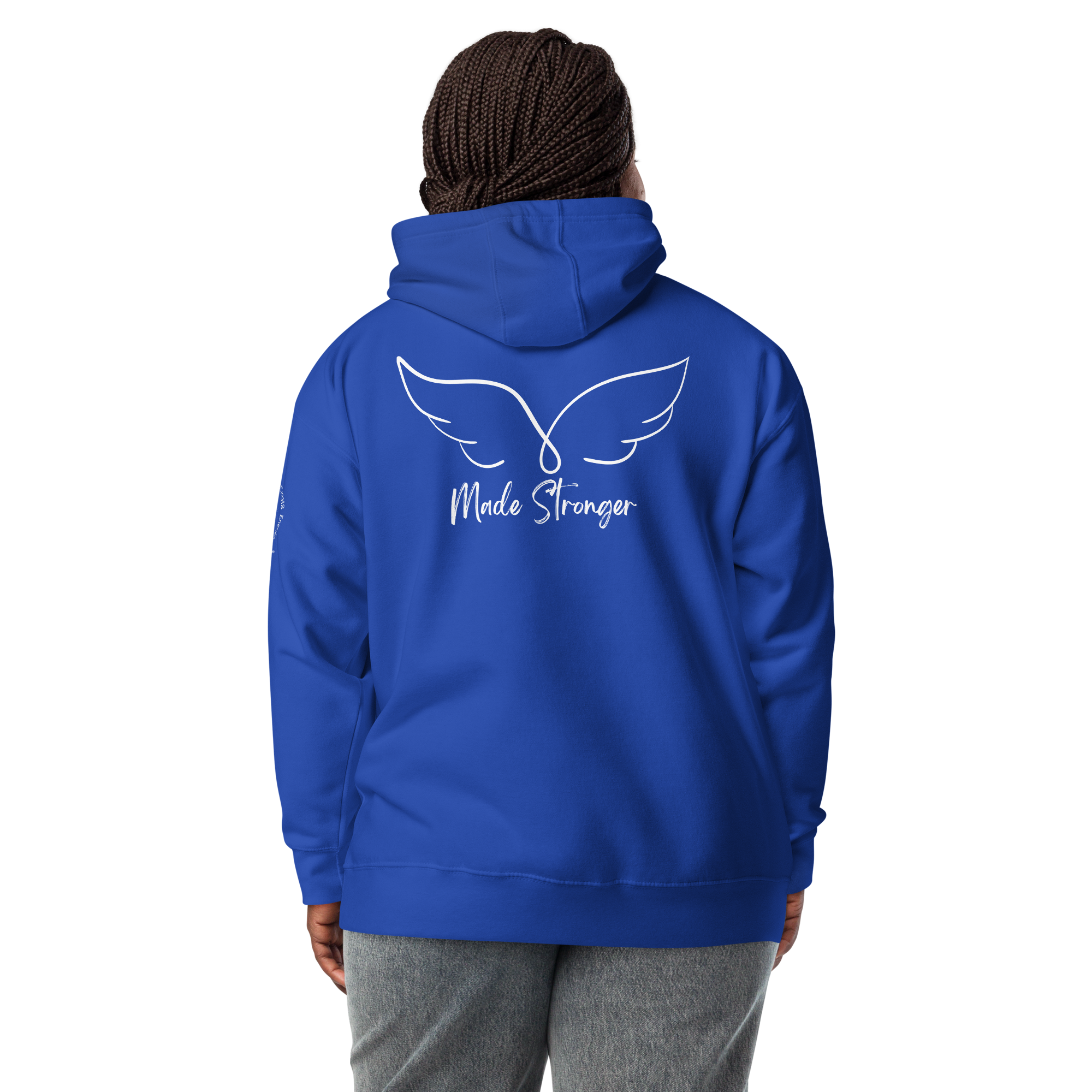 cotton-heritage-m2580-i-unisex-premium-pullover-hoodie-team-royal-back-69656464472c4.png