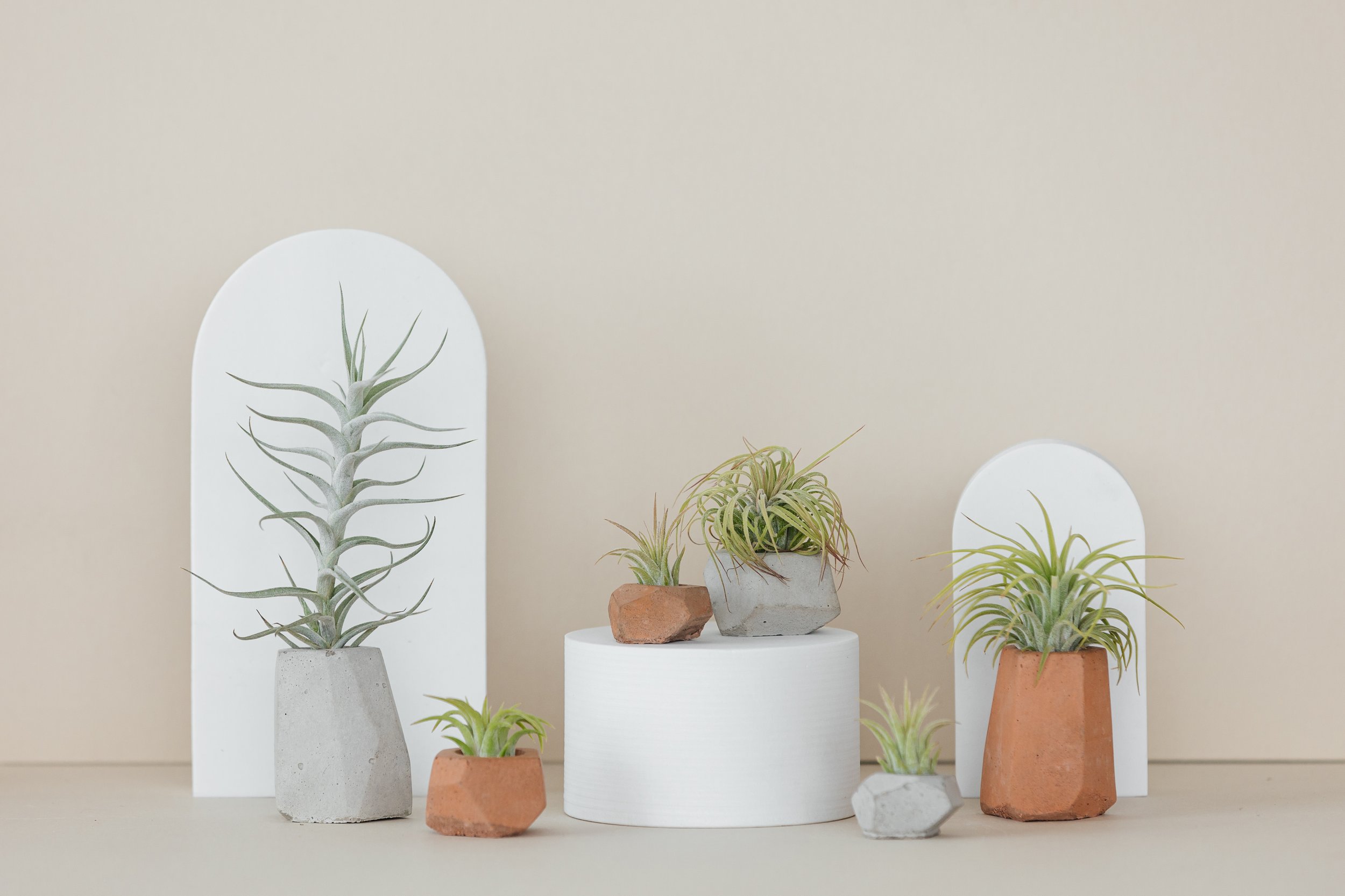 PlantSupply-Product-89.jpg