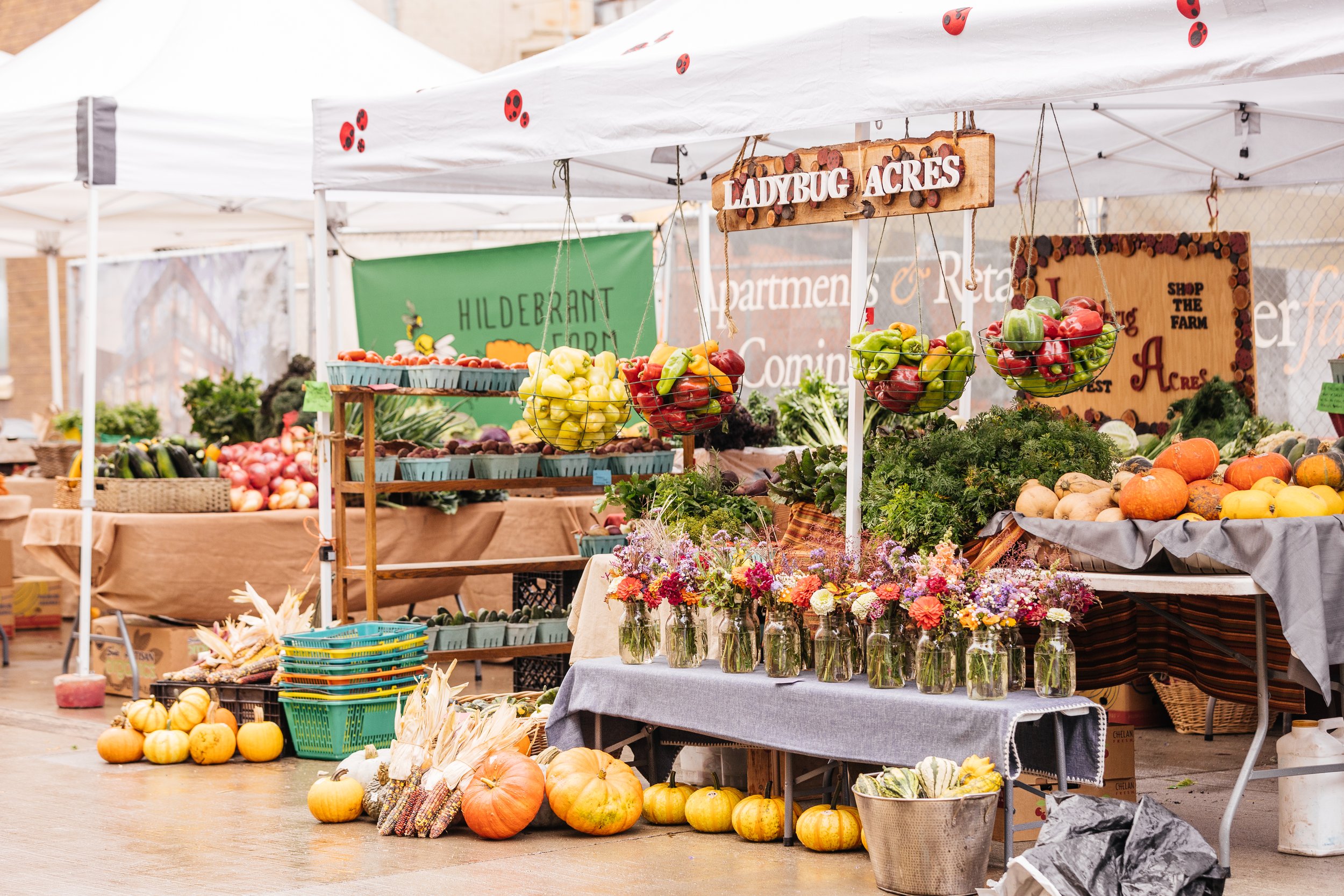 FallFest-10.jpg