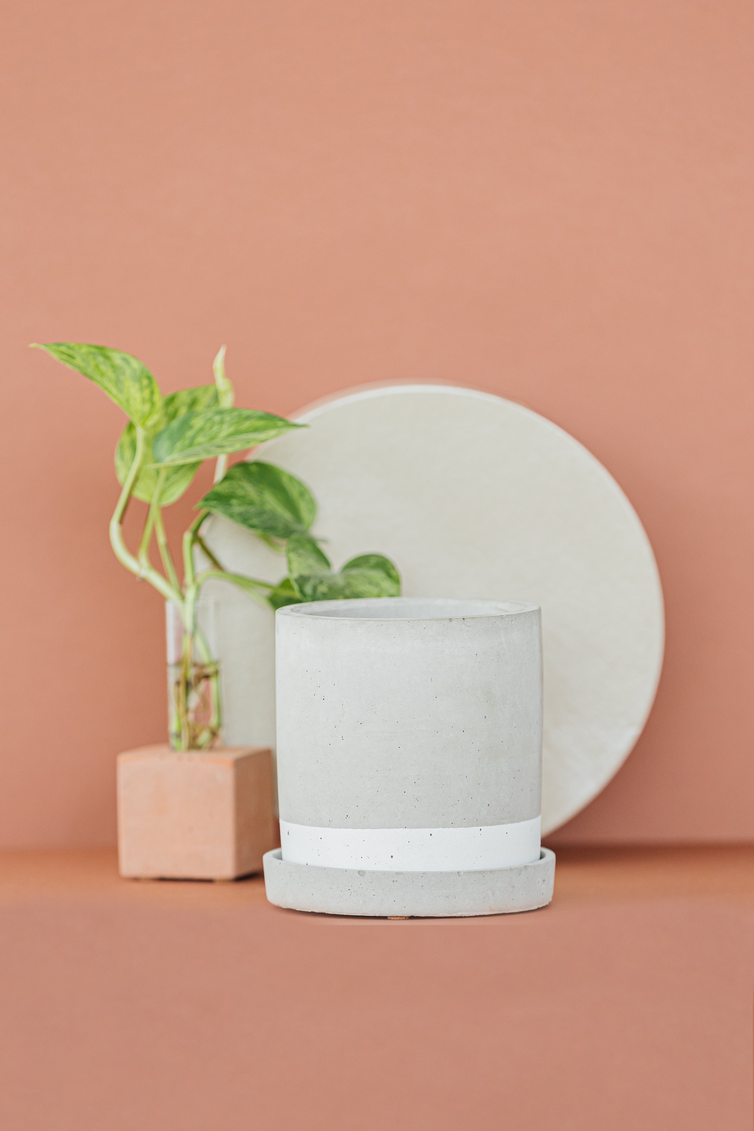 PlantSupply-Product-2.jpg