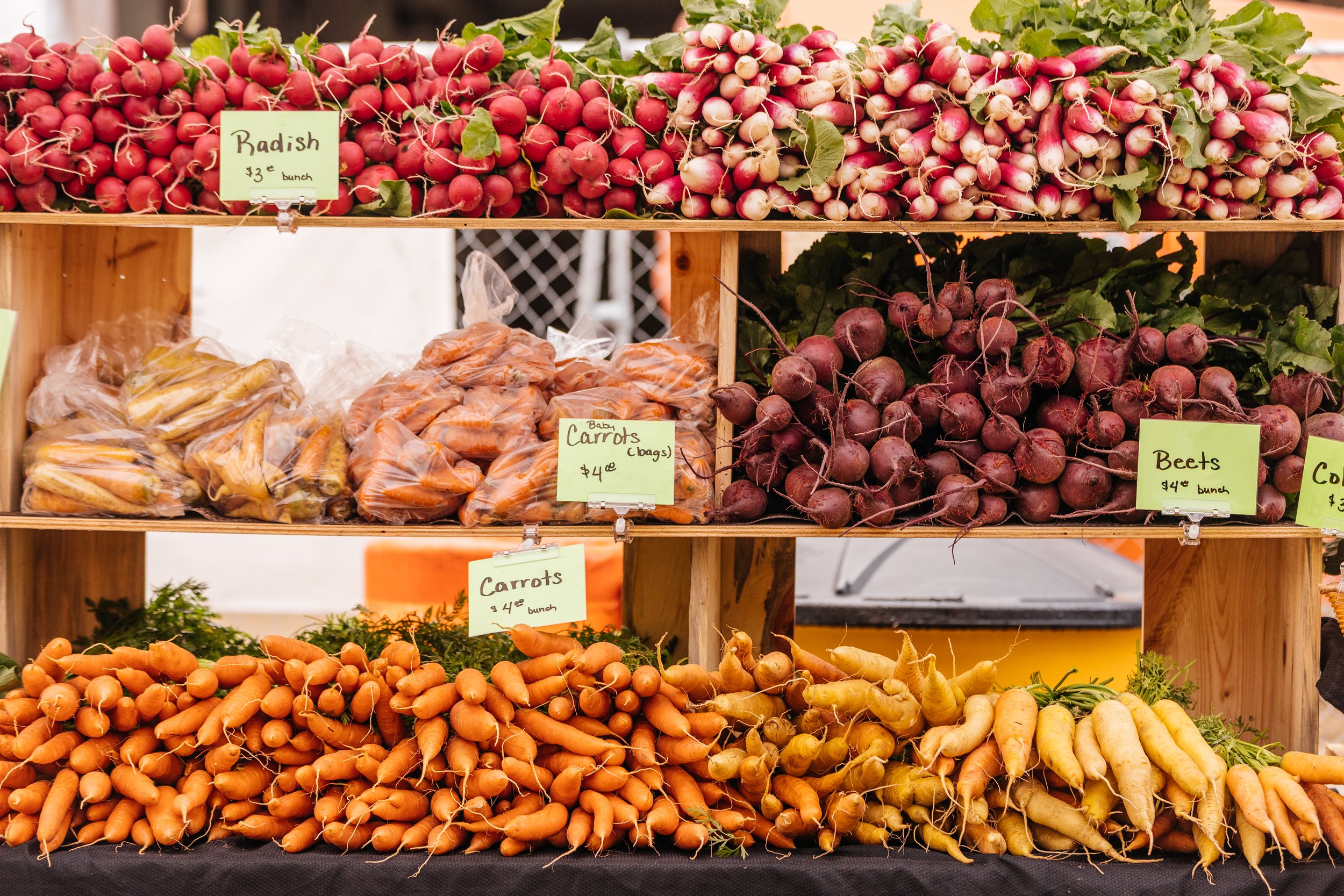 FallFest-15.jpg