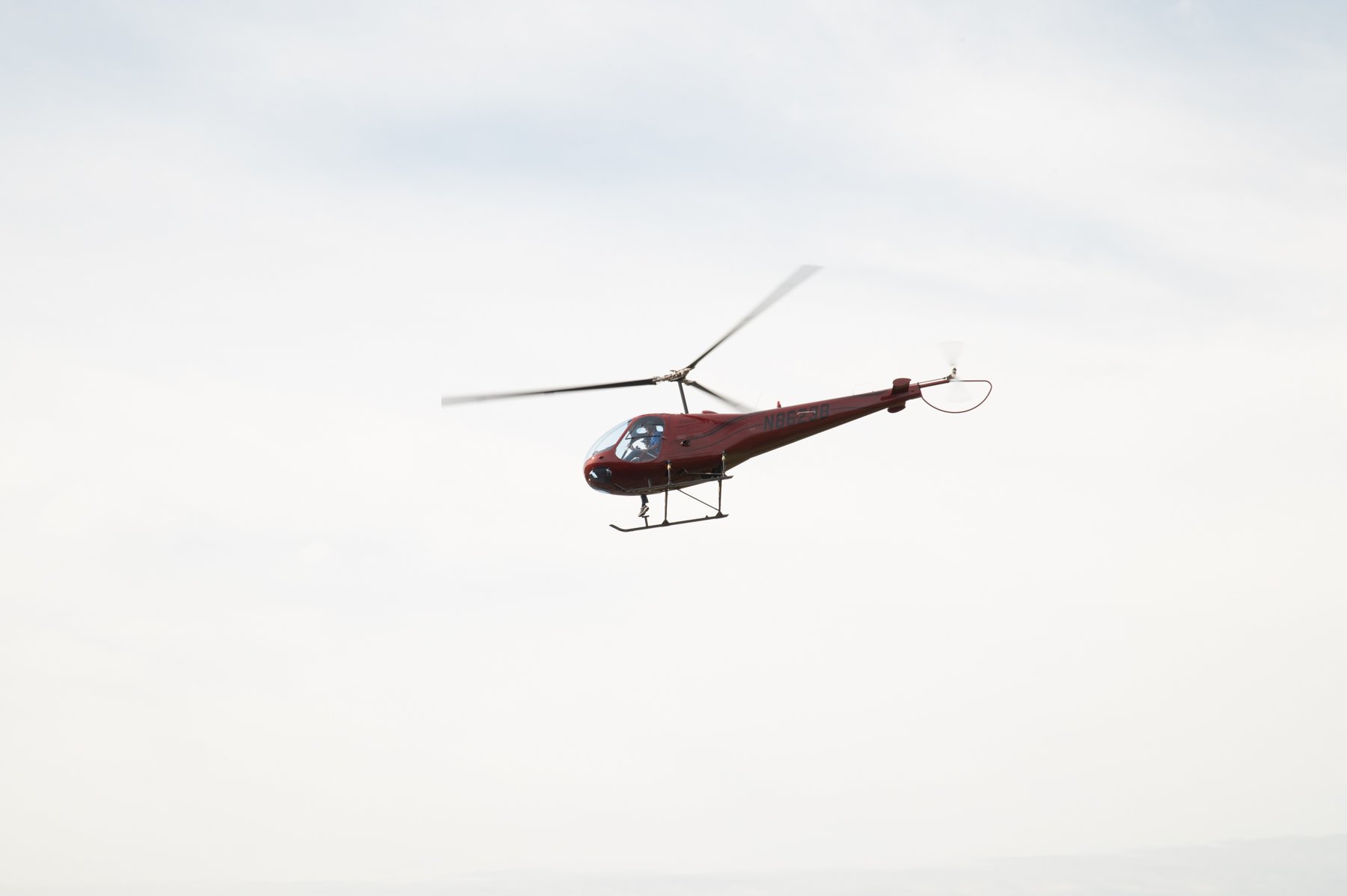 913_8135.jpg