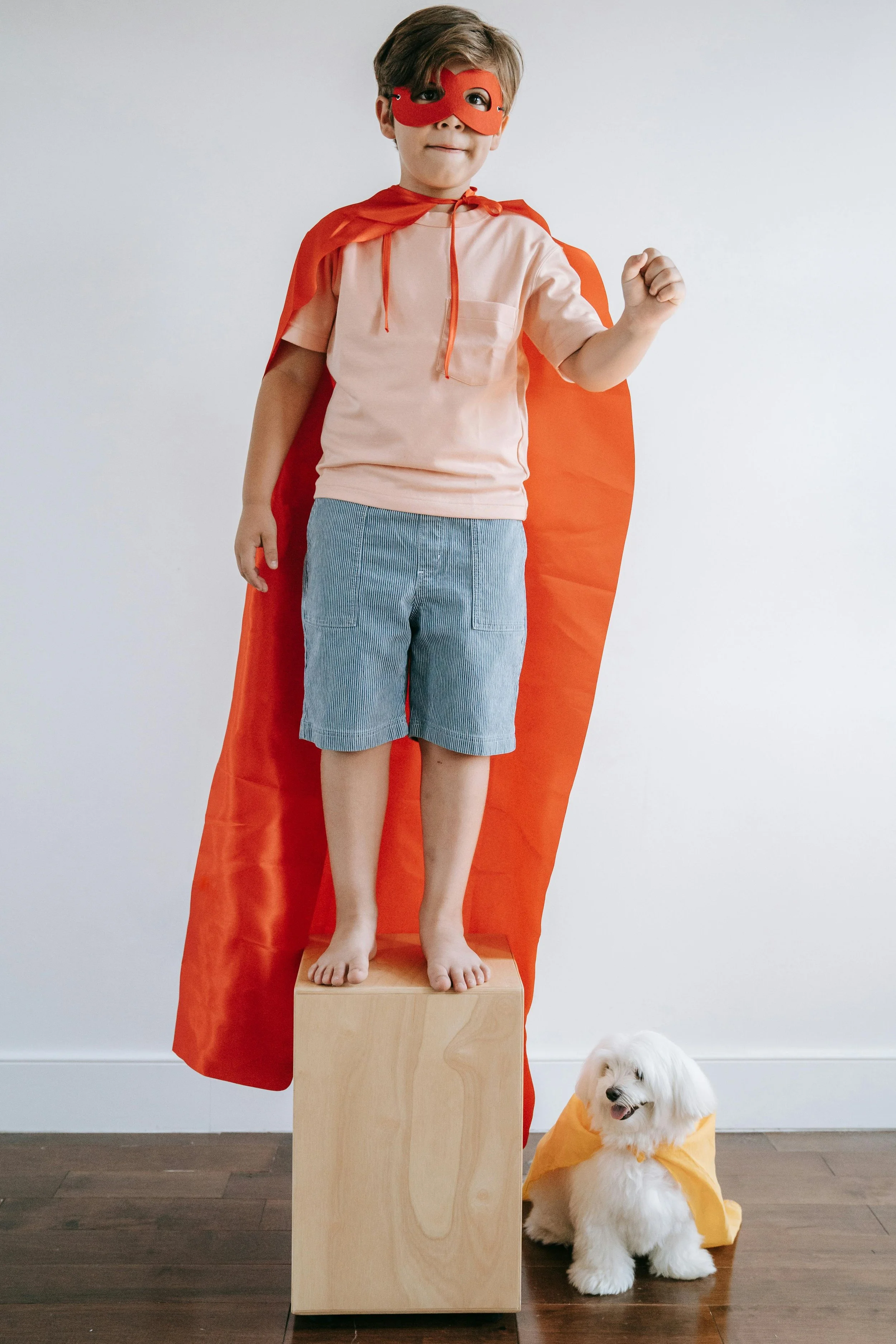 A boy wearing a superhero eye mask and a cape standing on top of a platform with his dog in a superhero cape at his side.