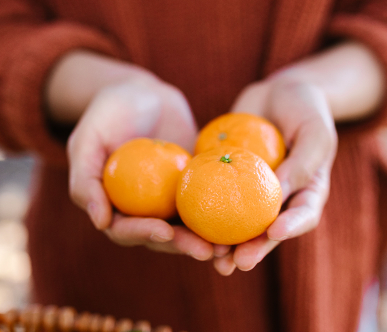 Two hands gently holding three fresh oranges, symbolizing fresh food and community support.