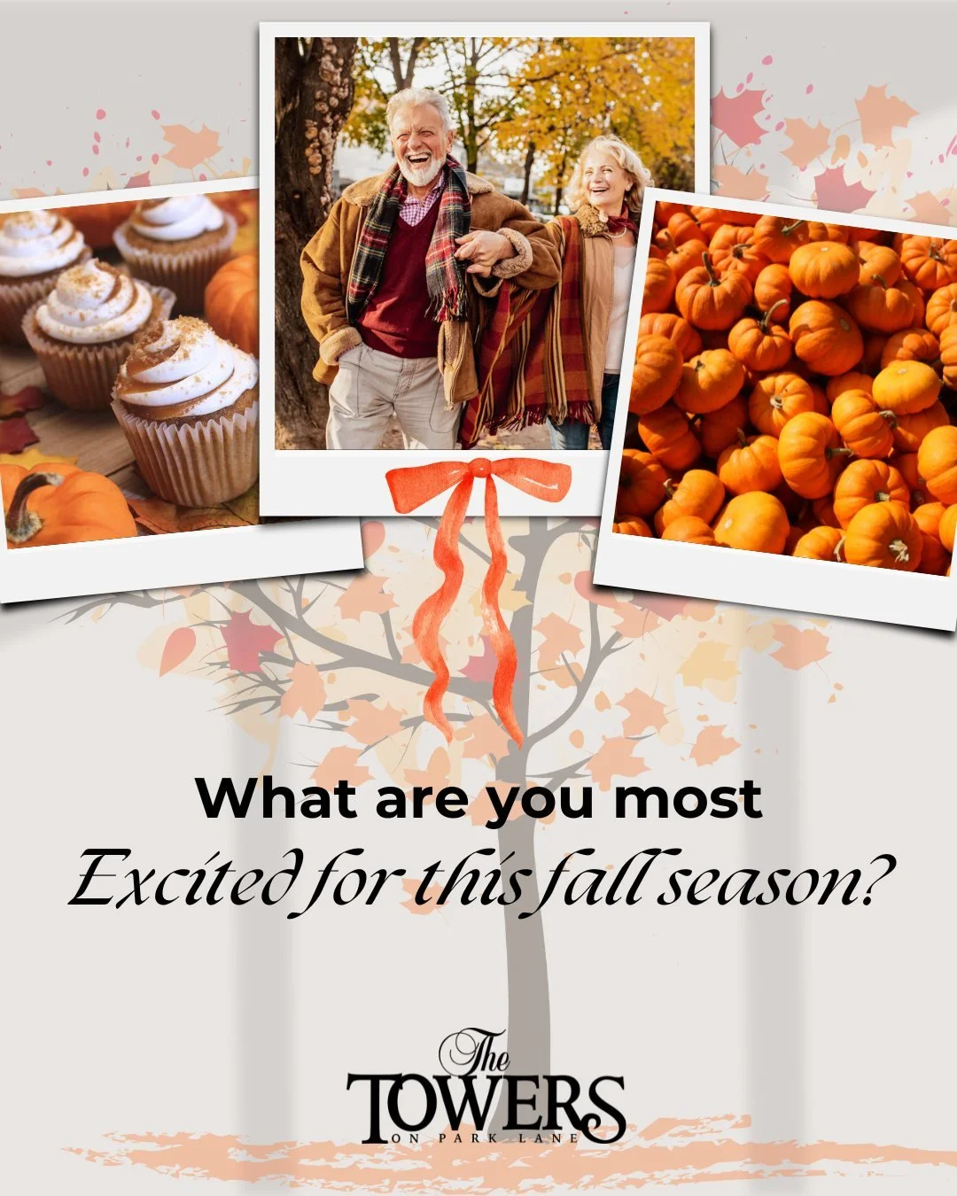 Fall vibes are hitting different this year! ✨

The leaves are changing, the air is crisp, and we're ready for all the cozy autumn moments ahead! From pumpkin spice mornings to sweater weather sunsets, this season has us feeling grateful for all the l