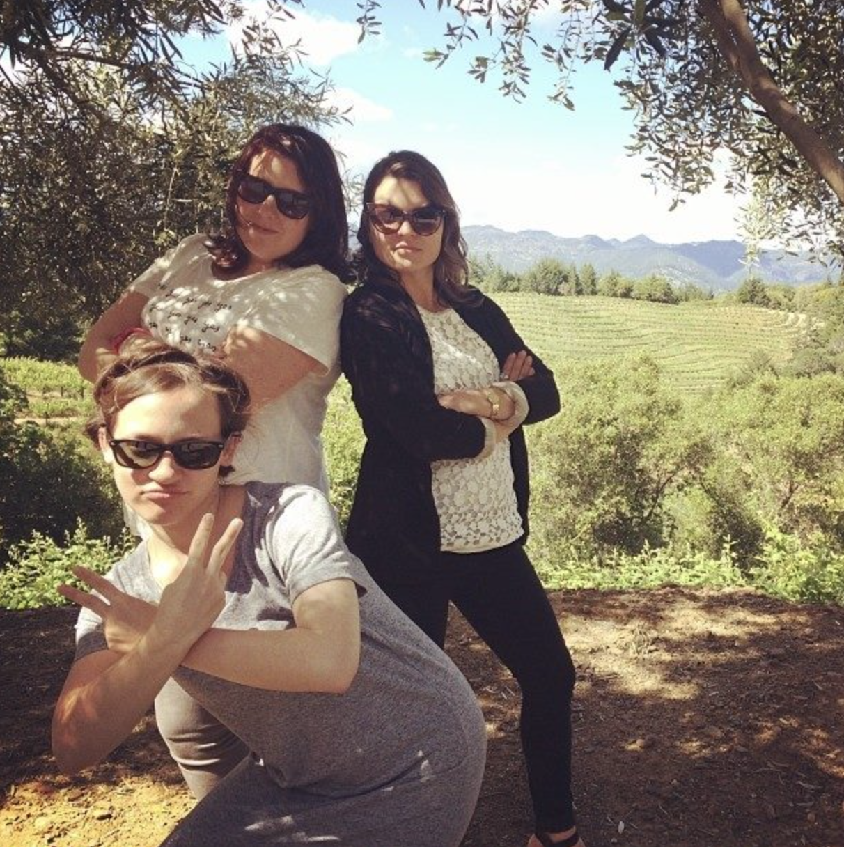 windstream Napa Valley.png