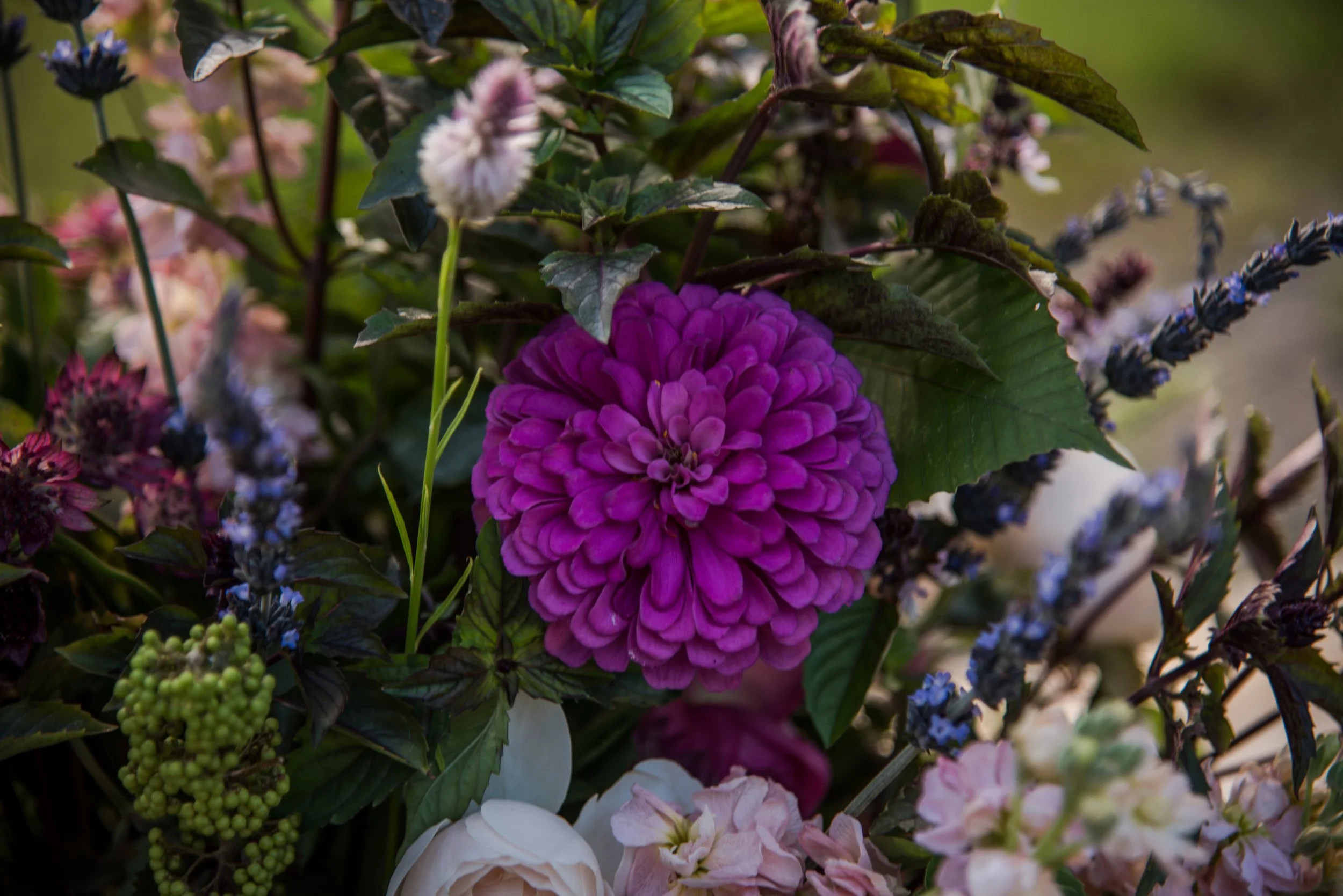 DSC_2471.jpg