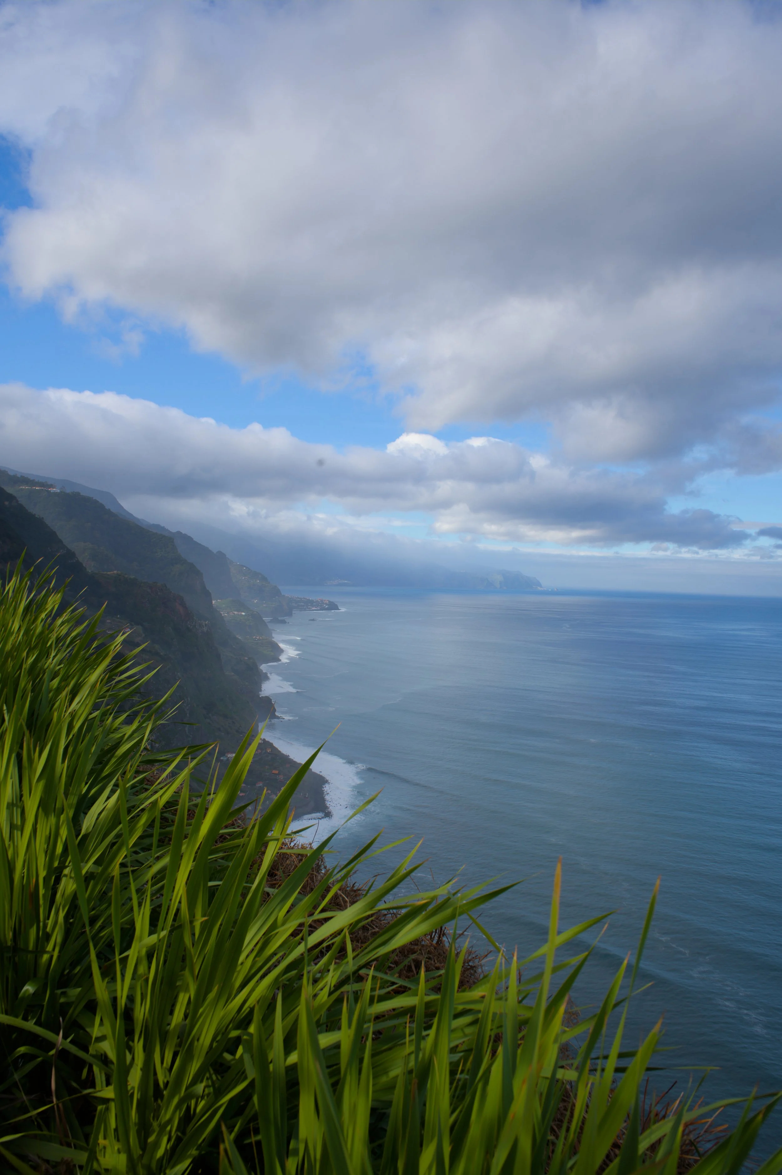 madeira_coast.jpg