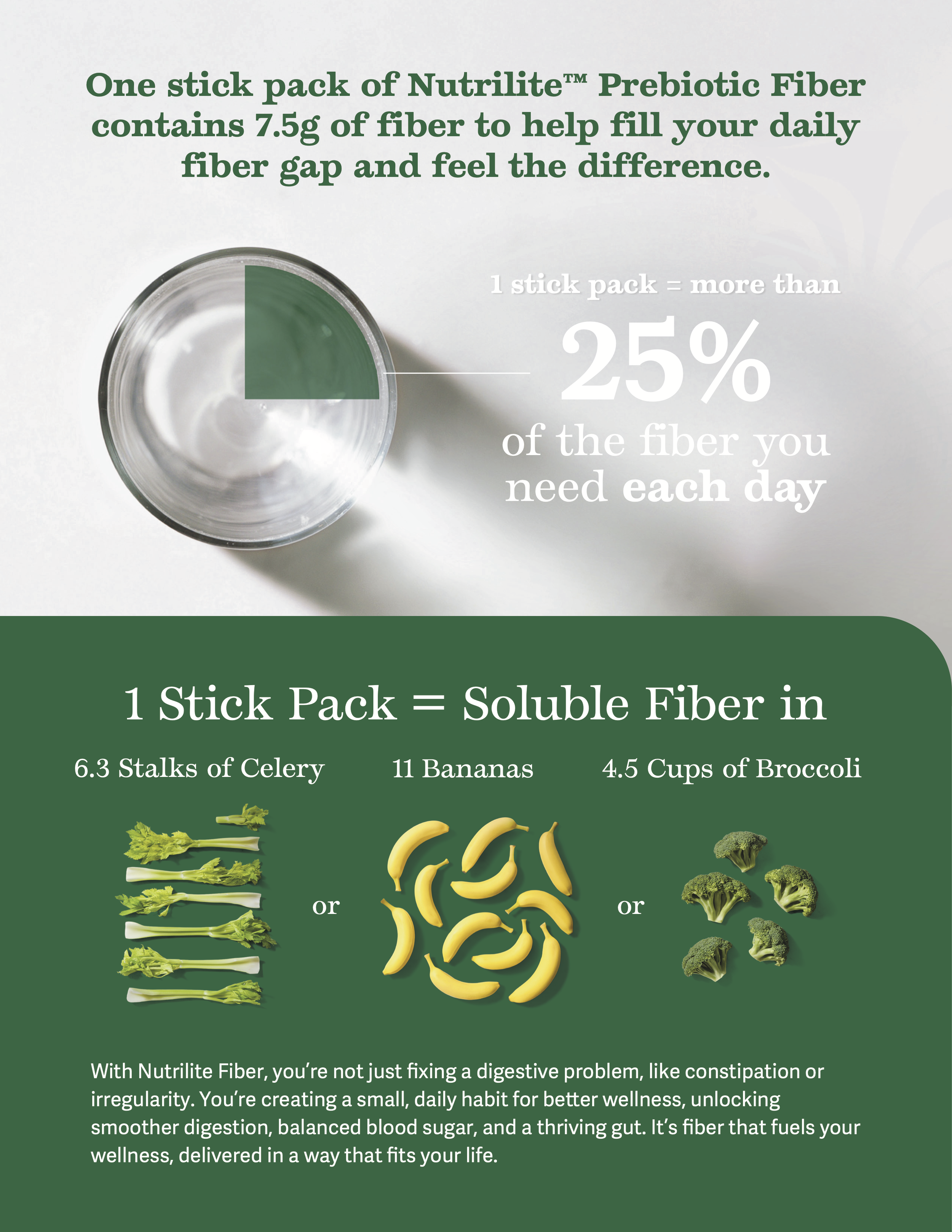 Nut_NGFbr_Fiber_Gap_Ad2pg (dragged) 2.png