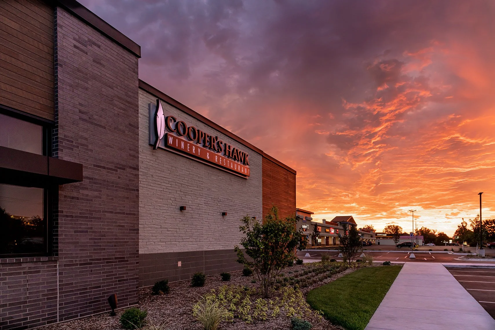 BKP_CoopersHawk_Kentwood-0861_web.jpg