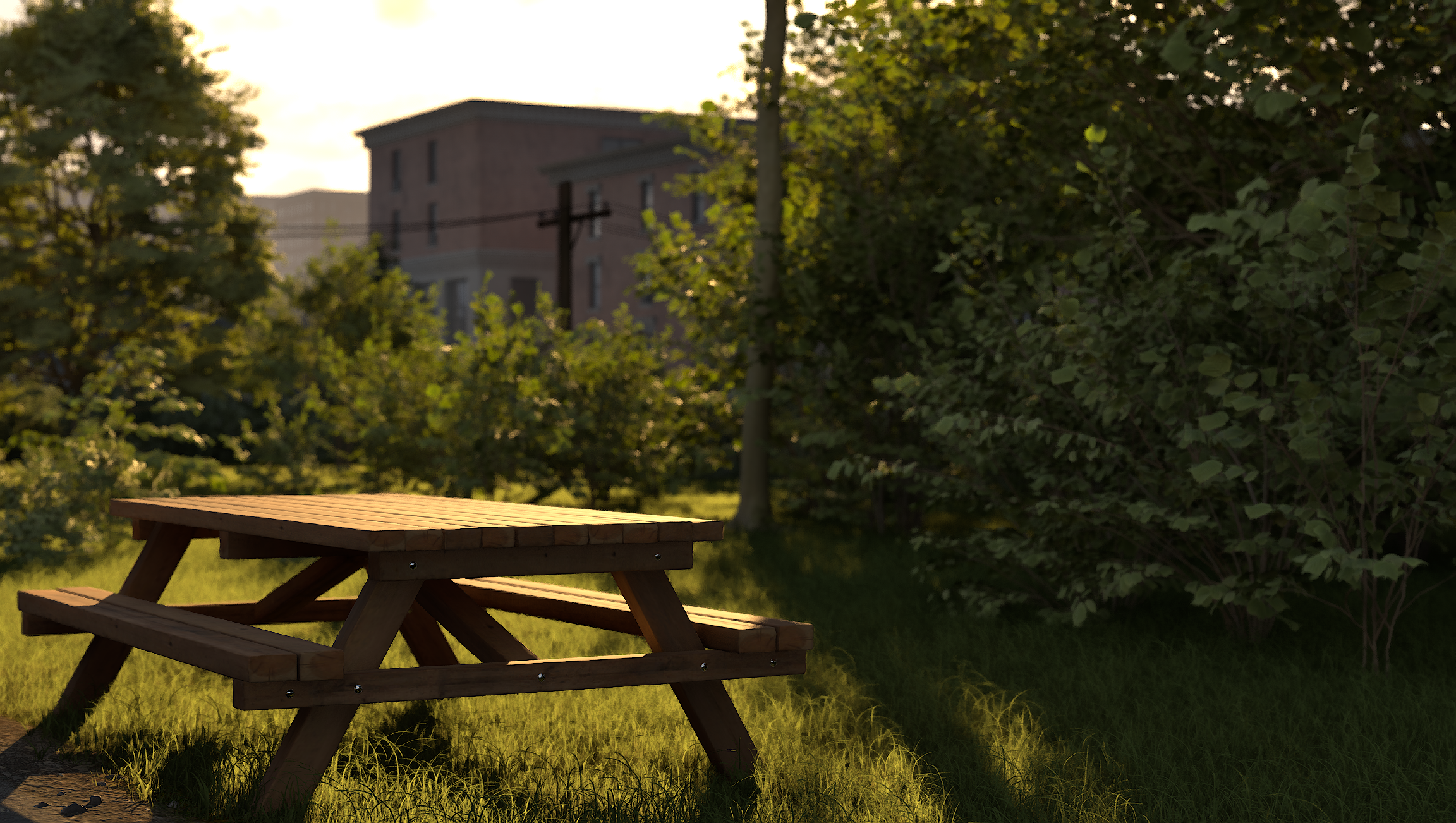 Virtual environment showing a picnic table in a grassy outdoor setting.