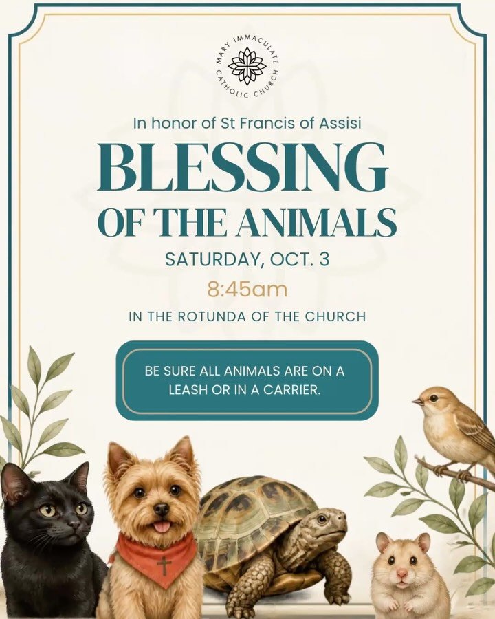 🐾 Bring your furry friends and join us for a special blessing! 🐾

In honor of St. Francis of Assisi, we invite you and your beloved pets to our Blessing of the Animals this Saturday, October 3rd, following the 8:00 AM Mass.

📍 In the Rotunda of th