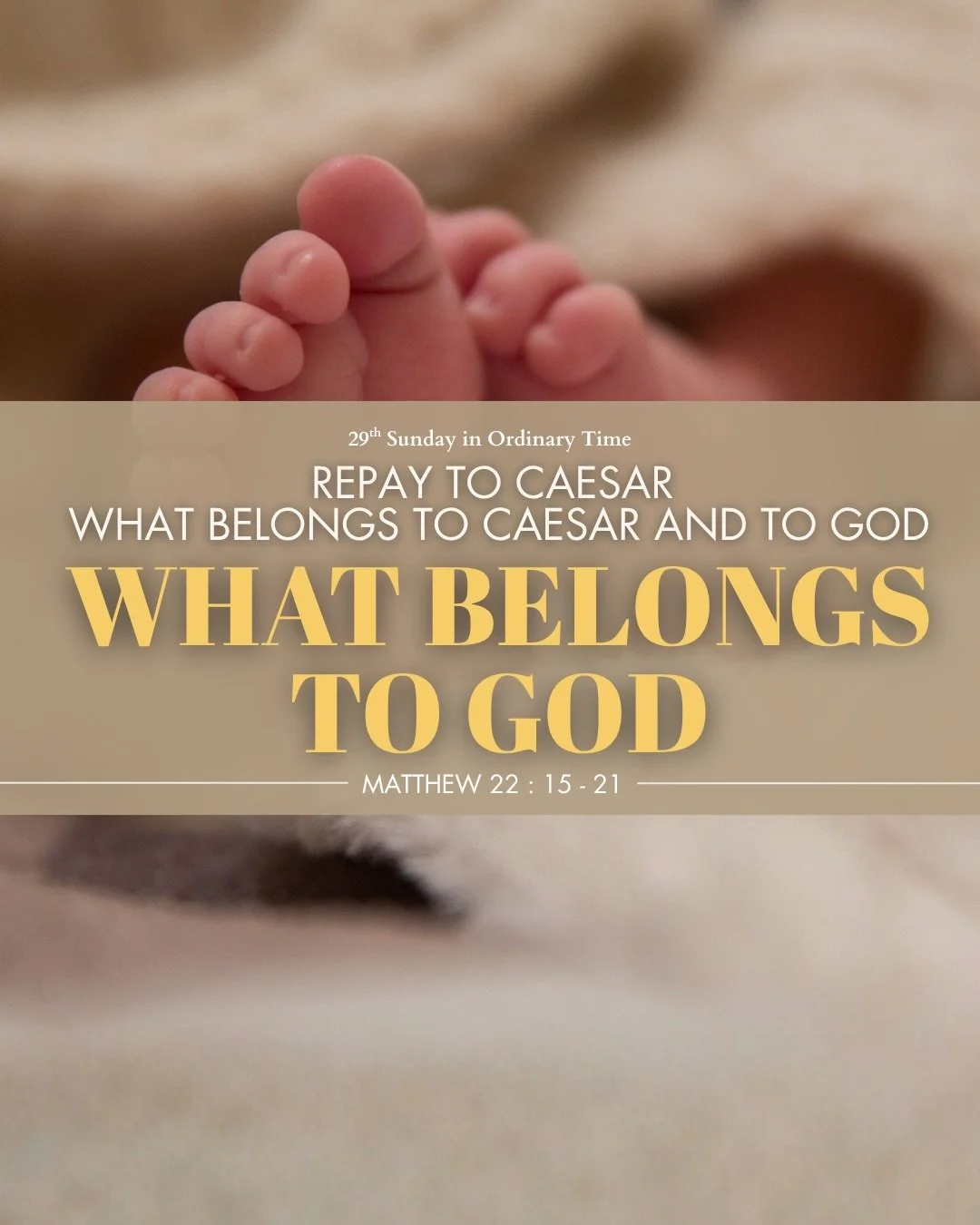 &ldquo;God is bigger than the boxes we put Him in.&rdquo; Swipe through Fr. Alfonse&rsquo;s reflection on today&rsquo;s Gospel, then join us for Mass today. (Mt 22:15-21)

#sundayreflections #refleciondedomingo #28thsundayinordinarytime #maryimmacula