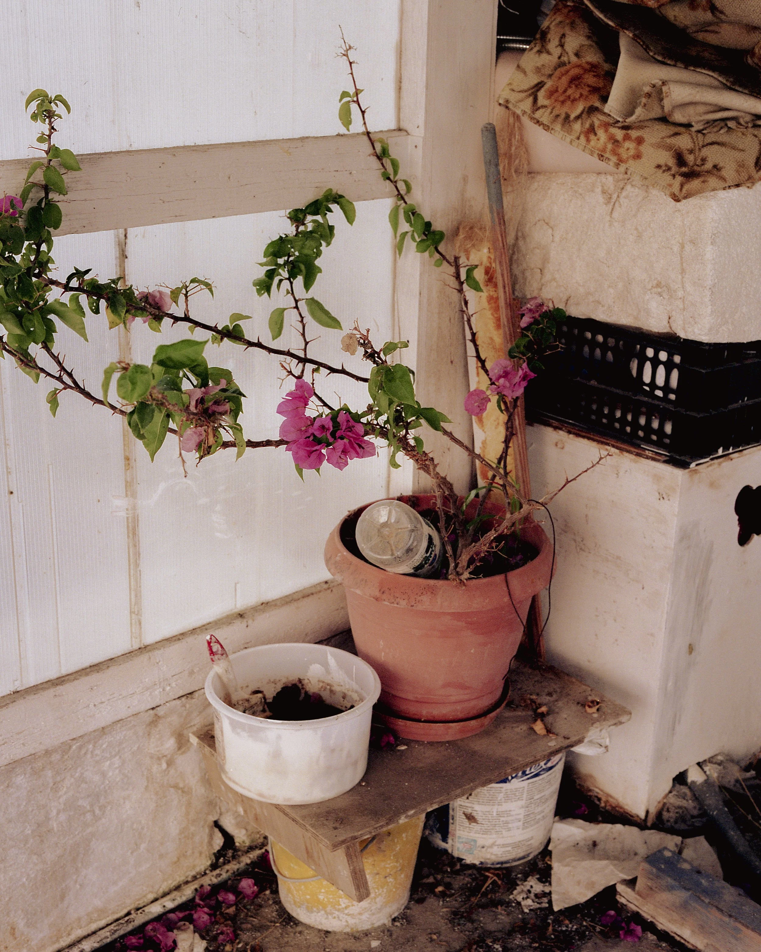 plant pots in garage in greece