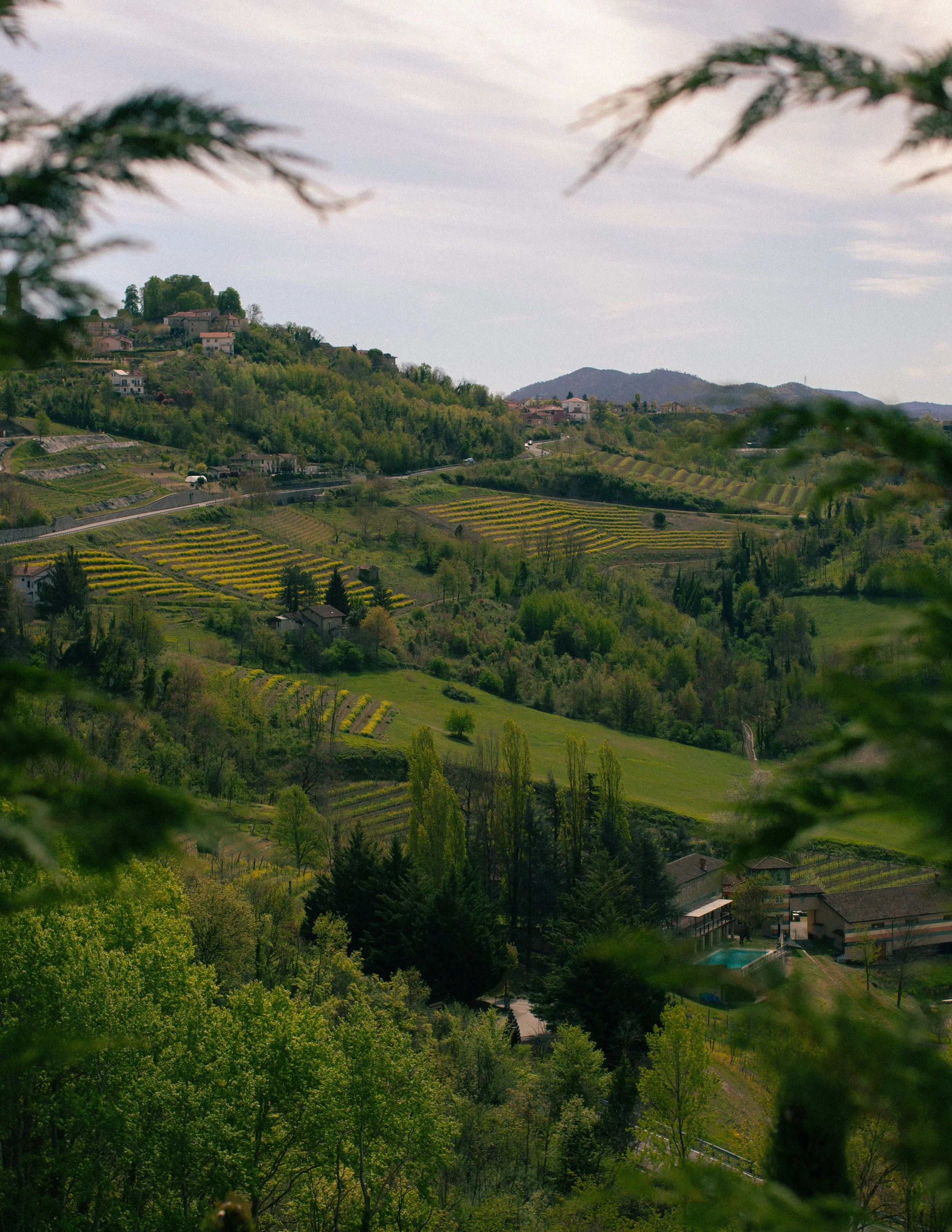 view of Piedmont hills
