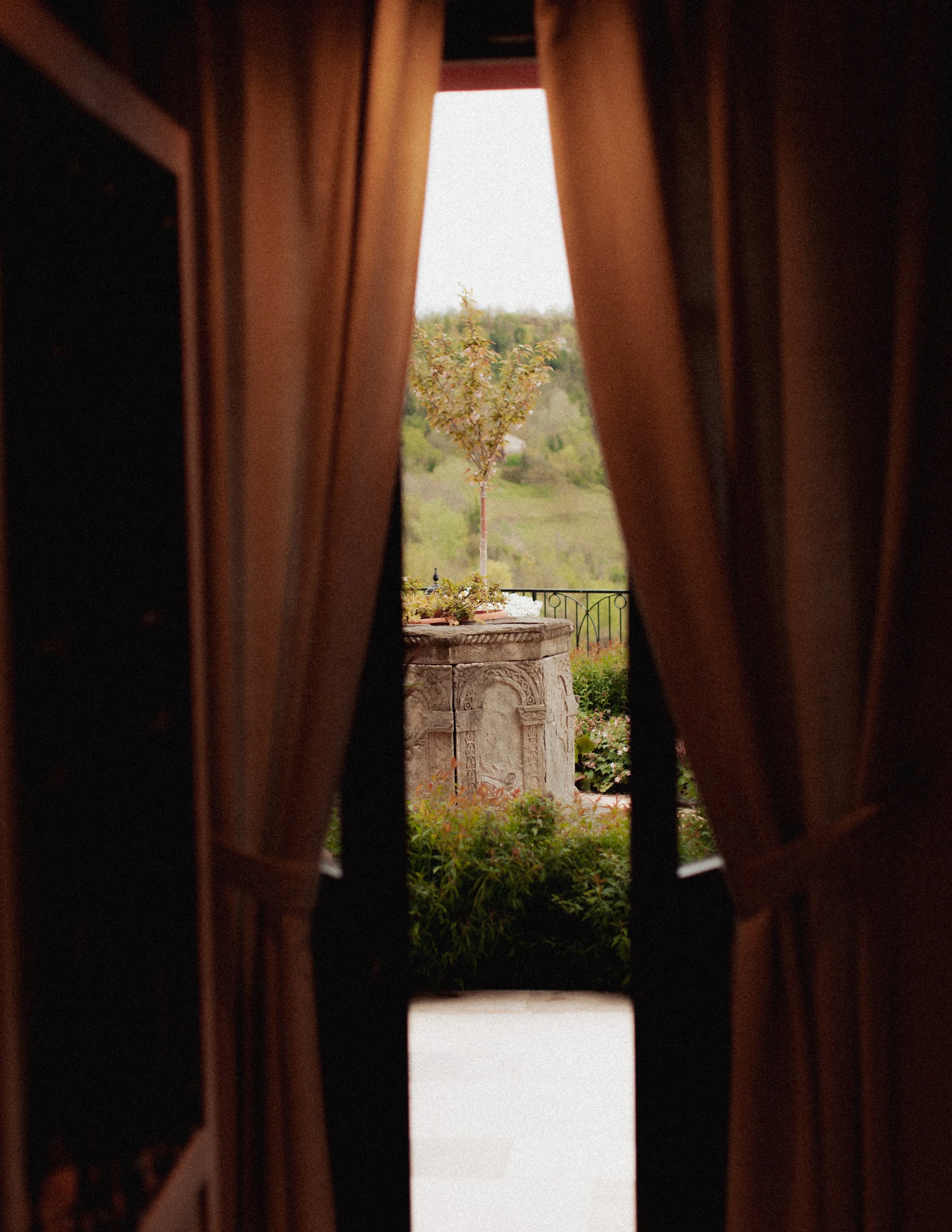 view of hotel garden through doors