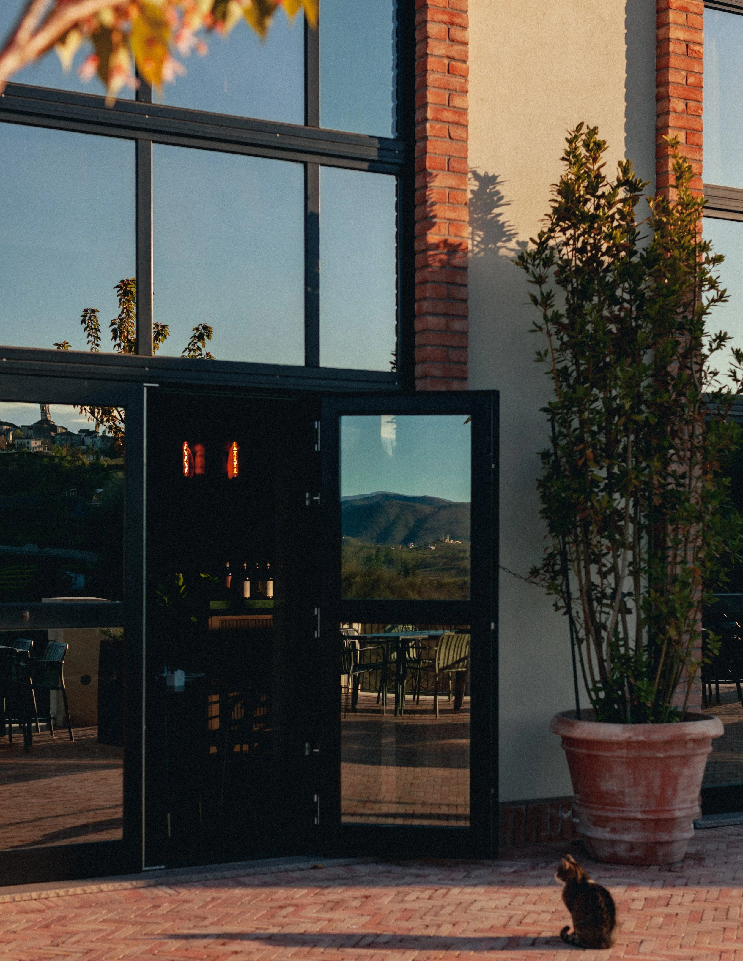 mirrored windows with reflected view of hills