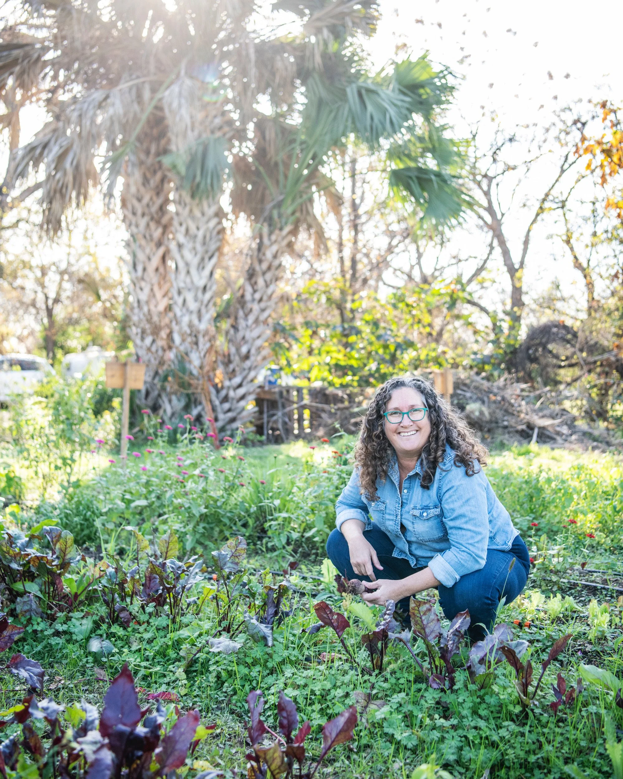Building a Farm-to-Consumer Regenerative Grocery Business