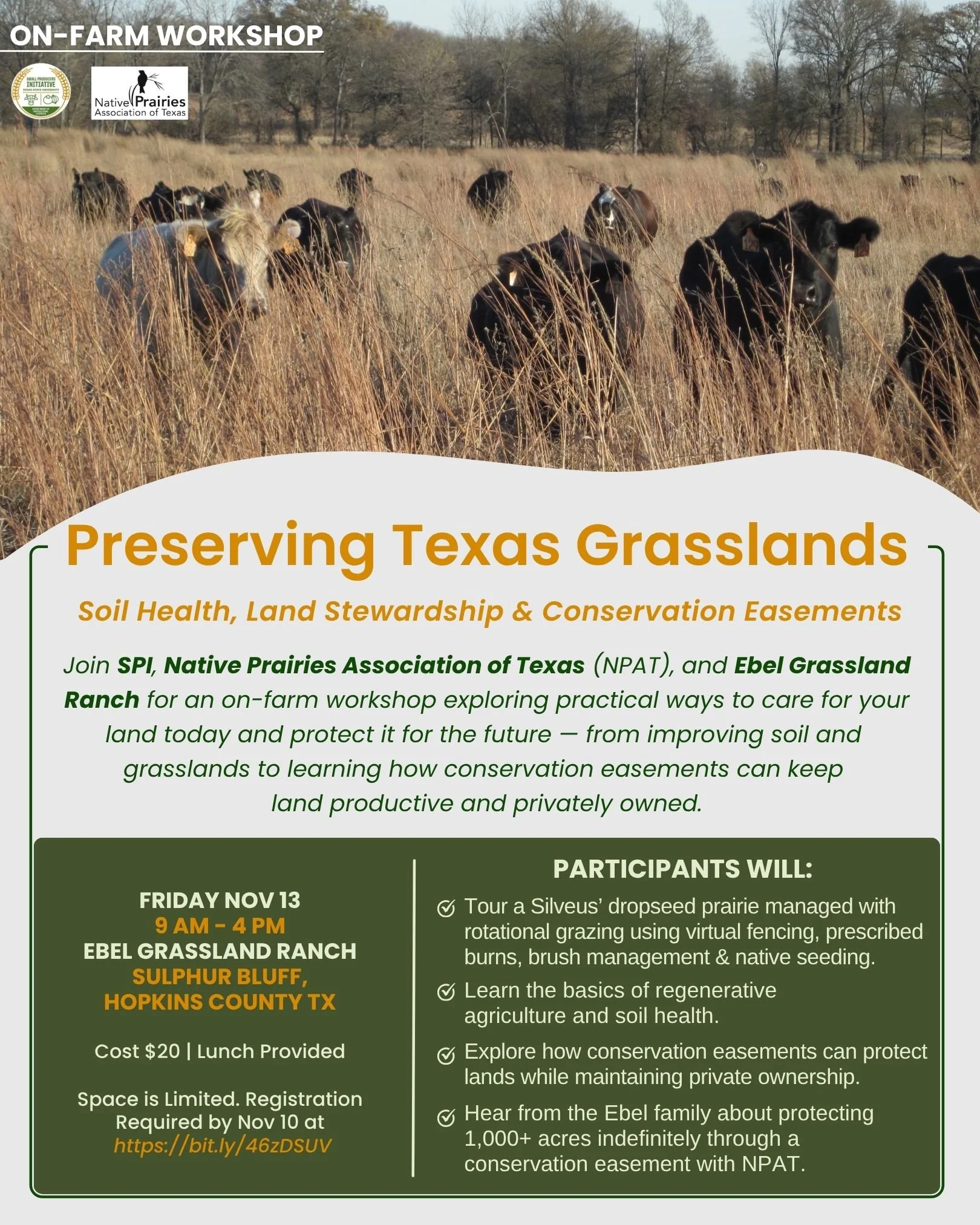 PRESERVING TEXAS GRASSLANDS: Soil Health, Land Stewardship & Conservation Easements