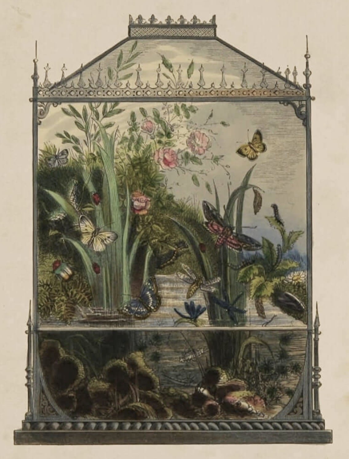 Ritualcravt Beltane Biophilia Market