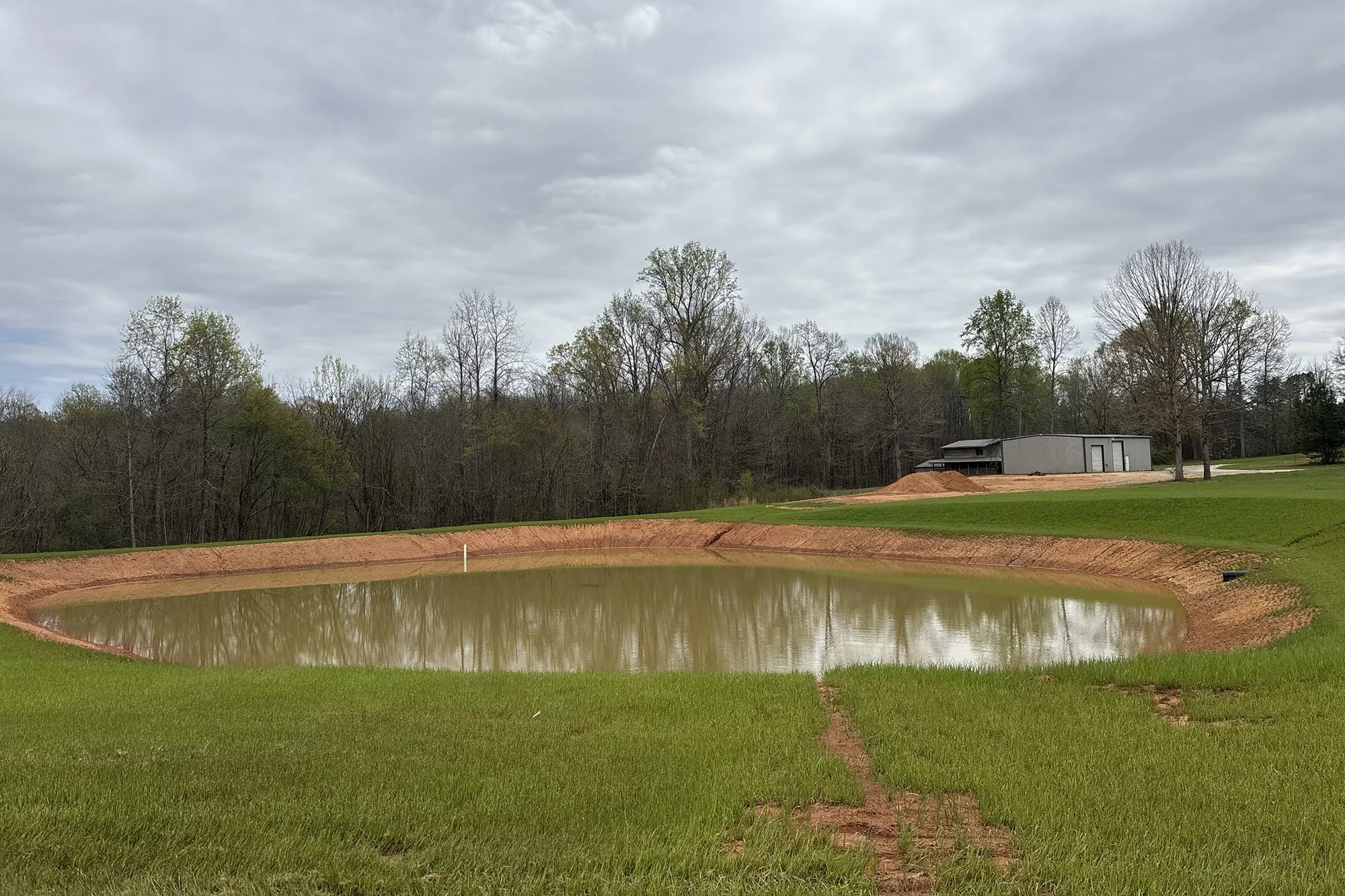 A landscape with a small pond surrounded by a grassy area, with a forest and a gray building in the background under a cloudy sky.