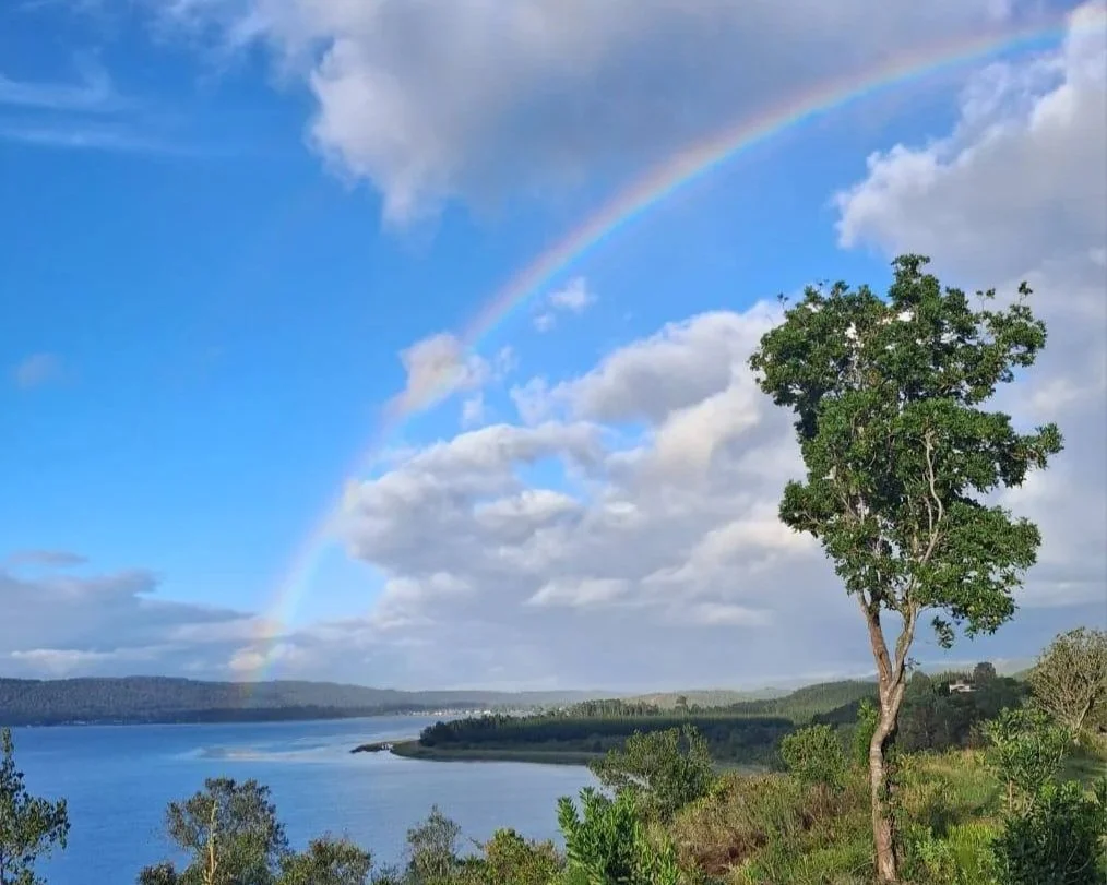 What is Guaranteed? Growth.