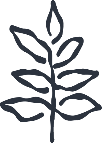 CBS_Juniper_Foliage Branch.png