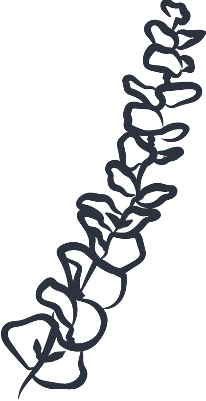 CBS_Juniper_Large Eucalyptus.png