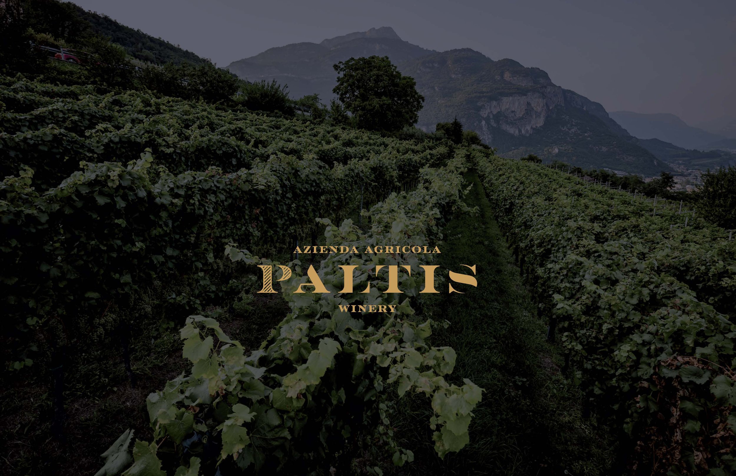 Paltis