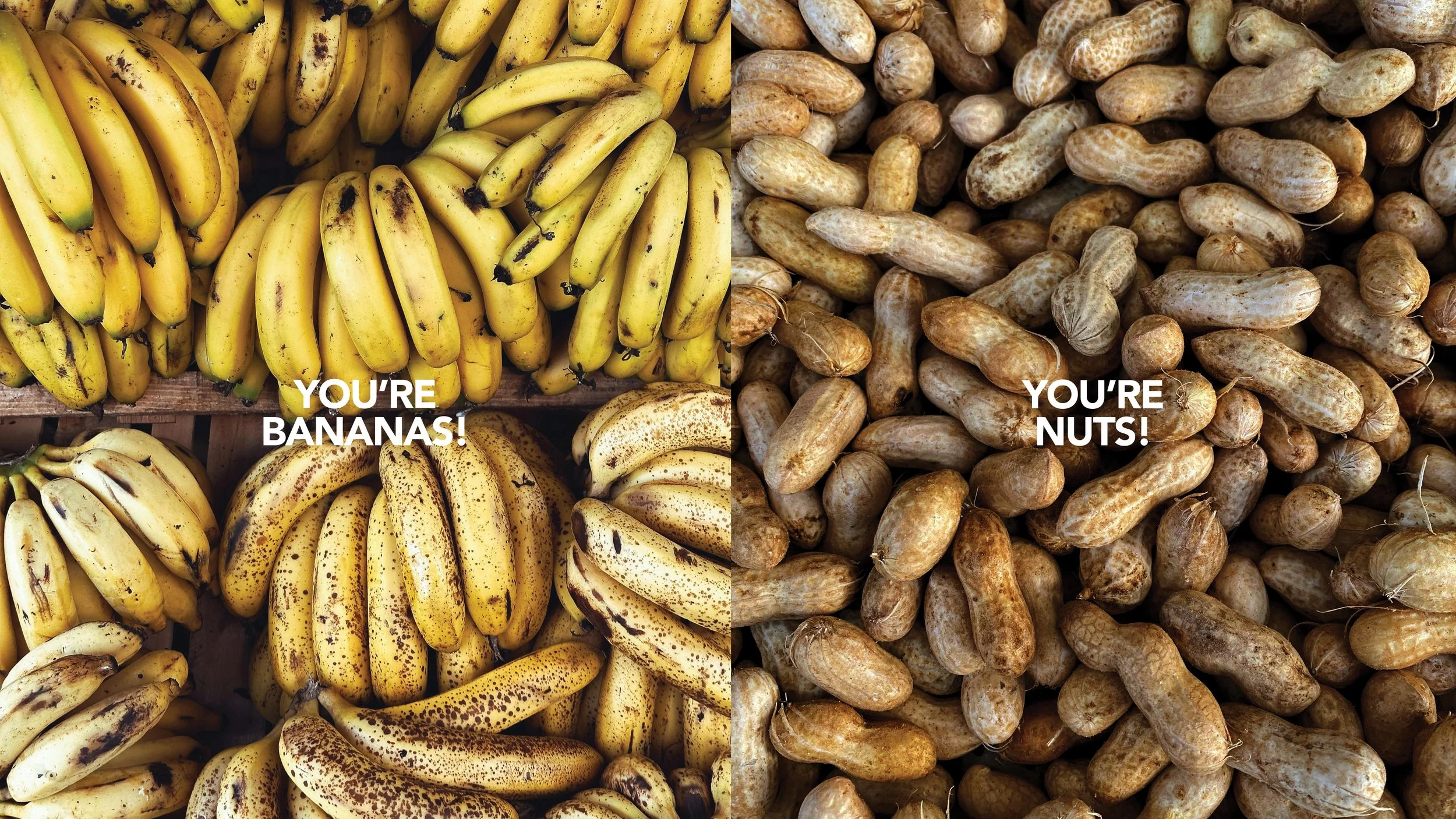 website portfolio granola2.jpg
