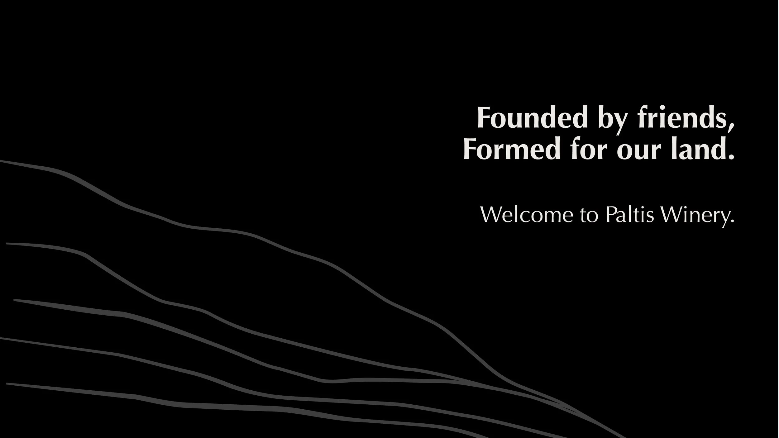 website portfolio paltis.jpg