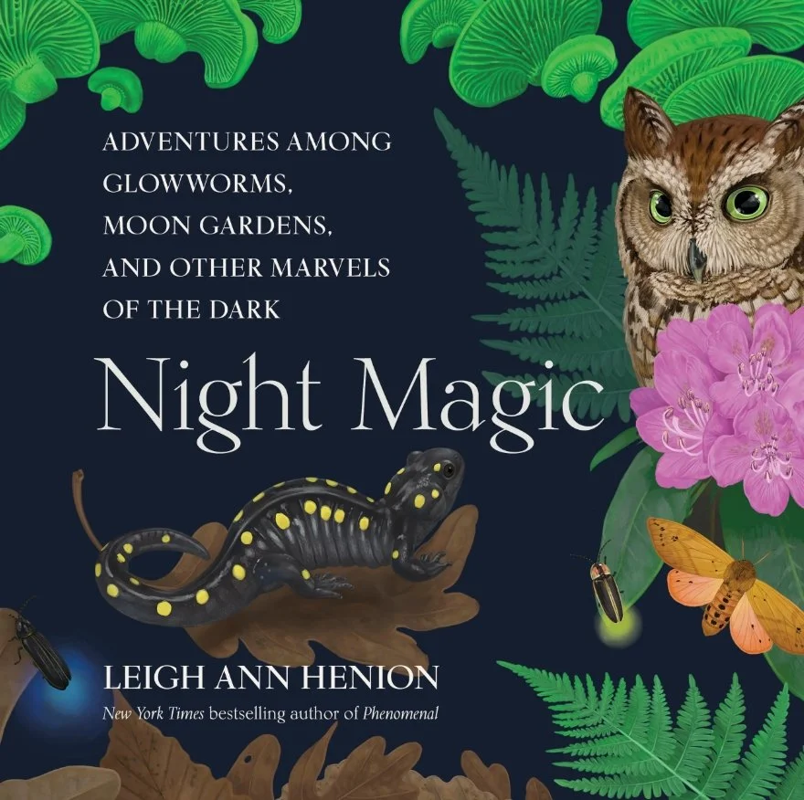 Book Club: Night Magic by Leigh Ann Henion