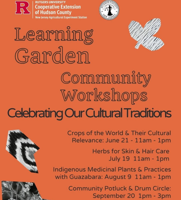 Indigenous Medicinal Plants and Practices