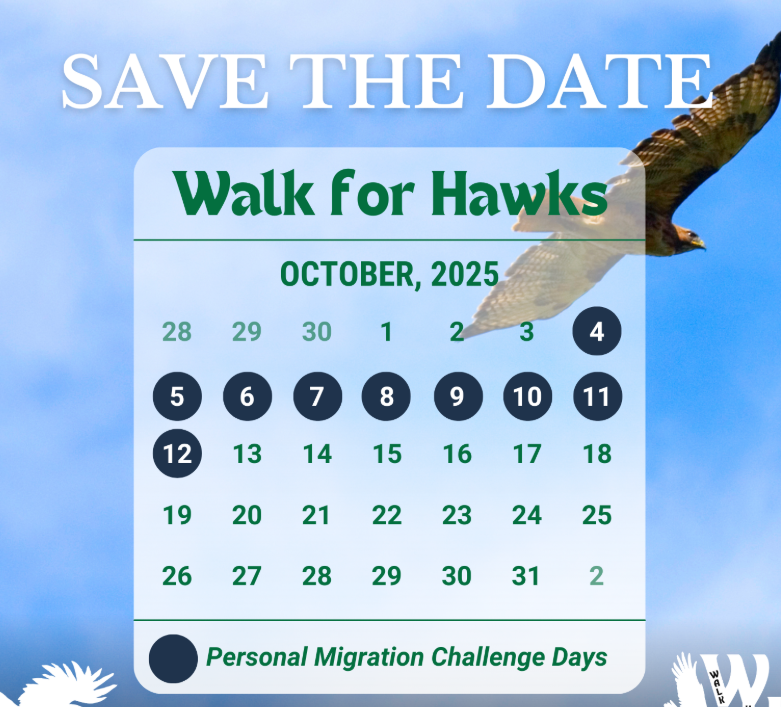Walk for Hawks