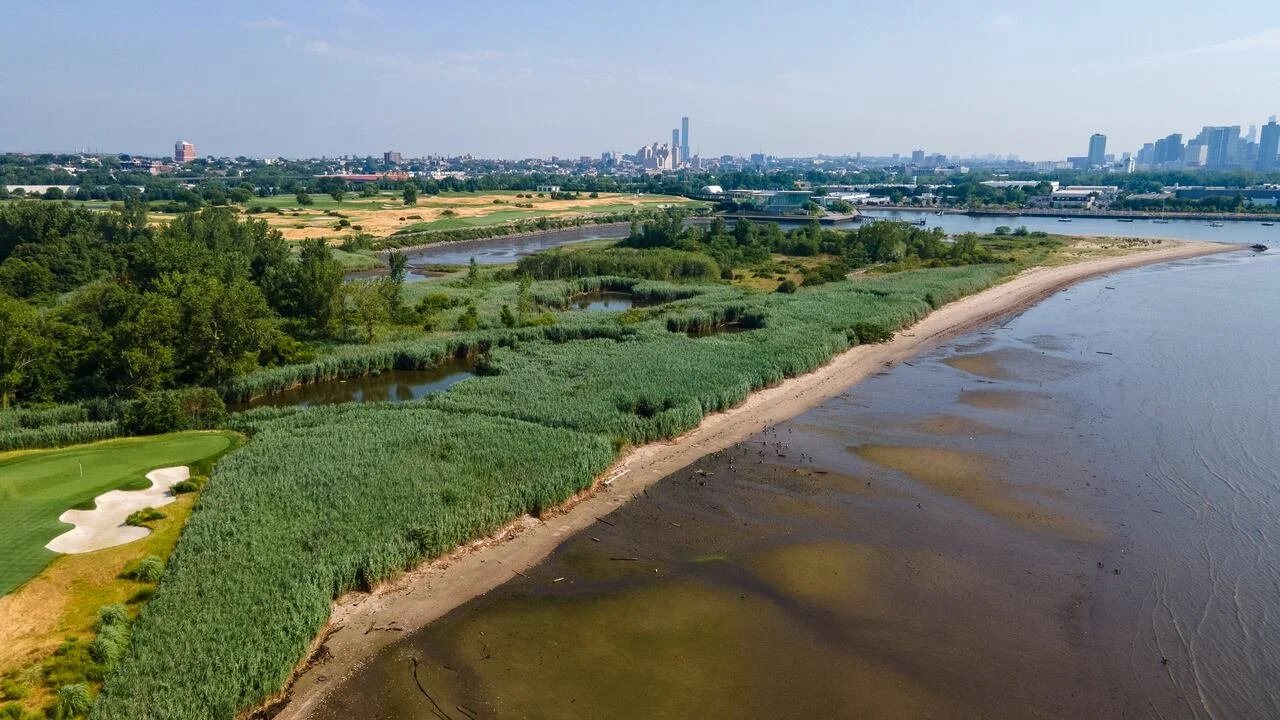 Secrets of the Salt Marsh
