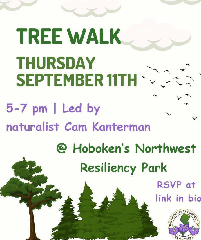 Tree Walk