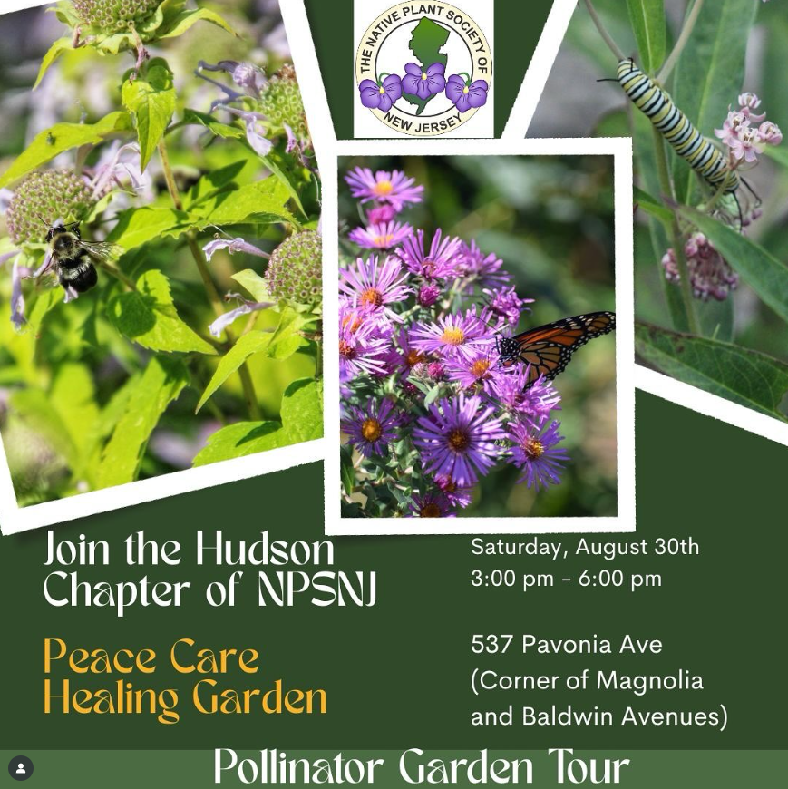 Pollinator Garden Tour