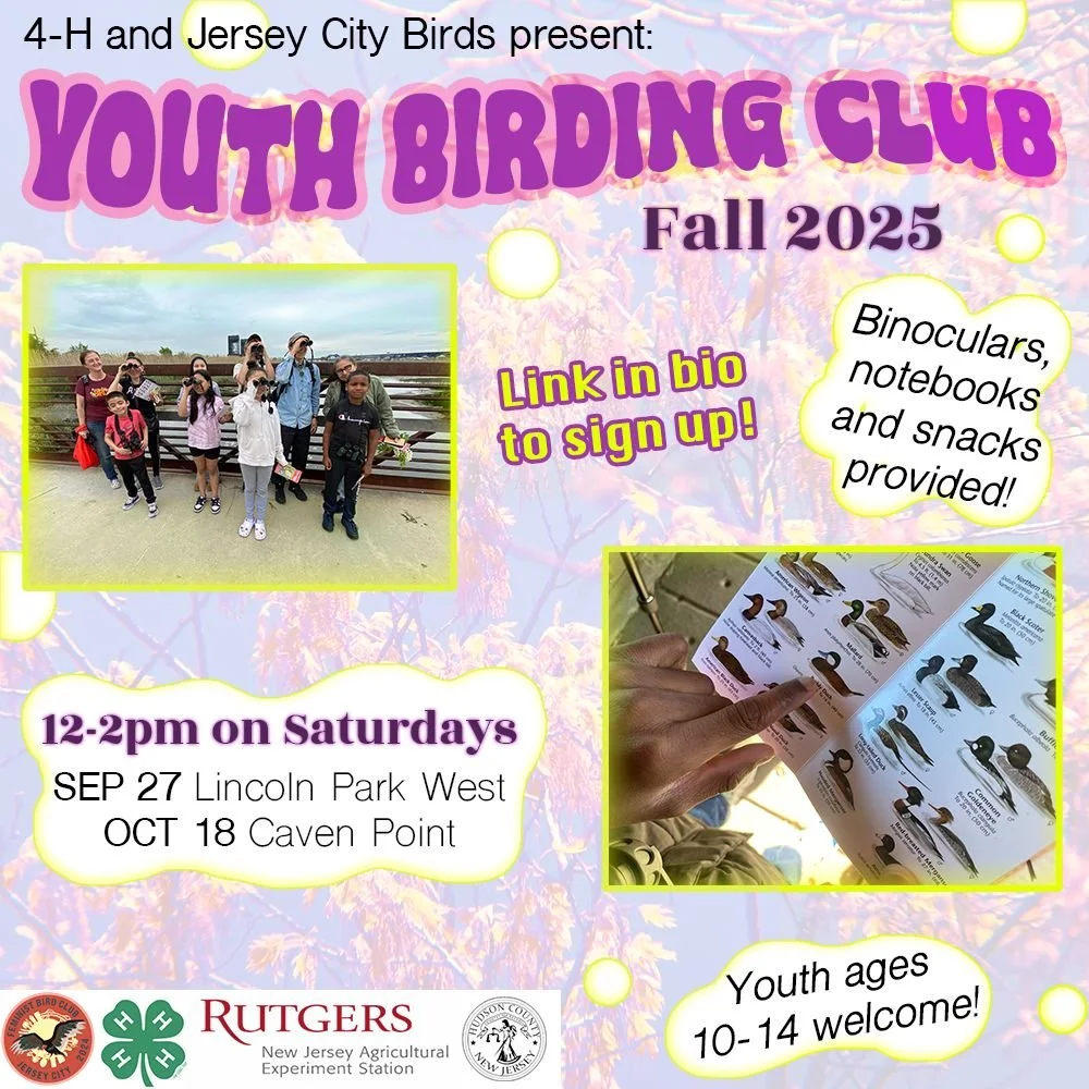Youth Birding Club | September Meeting