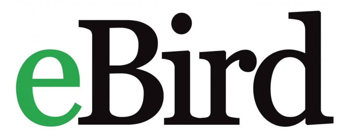 Monthly MBC Meeting: The eBird Review Process