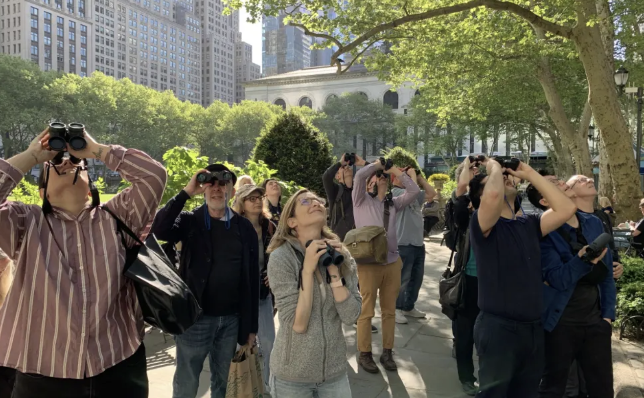 Evening Birding Tour at Bryant Park [Recurring] 