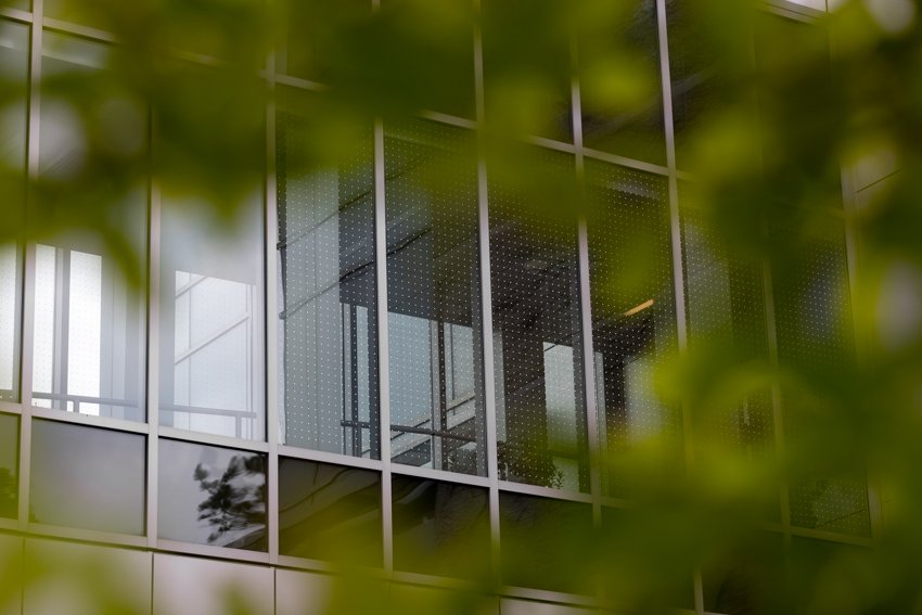 American Bird Conservancy Letter to Council Members on Mayor Fulop’s Veto of Ordinance 25-123