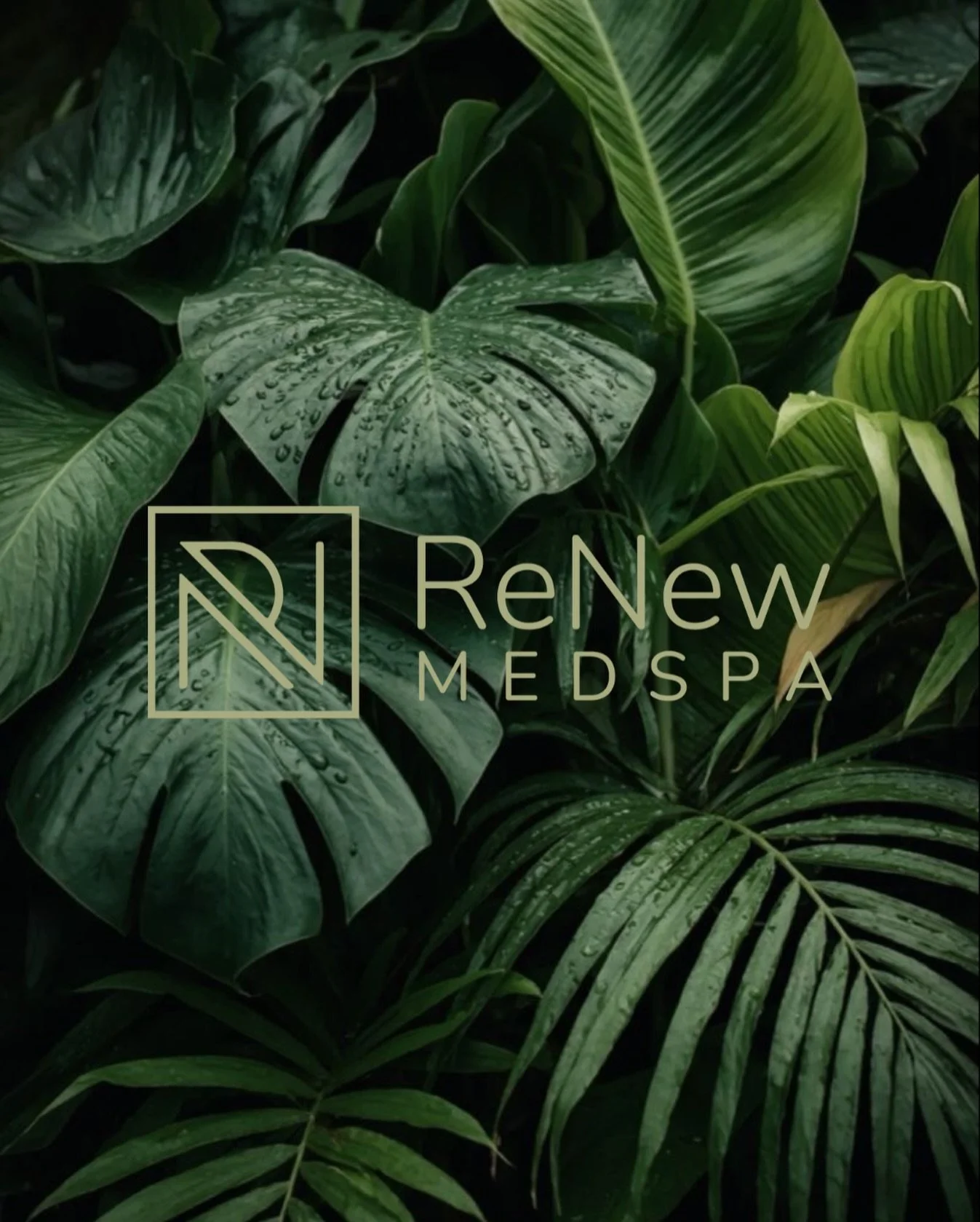 𝑊ℎ𝑦 𝑅𝑒𝑁𝑒𝑤 𝑀𝑒𝑑𝑆𝑝𝑎 𝐶𝑜𝑛𝑡𝑖𝑛𝑢𝑒𝑠 𝑡𝑜 𝐿𝑒𝑎𝑑 𝑖𝑛 𝐴𝑢𝑡ℎ𝑒𝑛𝑡𝑖𝑐𝑖𝑡𝑦, 𝐼𝑛𝑛𝑜𝑣𝑎𝑡𝑖𝑜𝑛 &amp; 𝐿𝑢𝑥𝑢𝑟𝑦 ✨

𝐀𝐭 𝐑𝐞𝐍𝐞𝐰 𝐌𝐞𝐝𝐒𝐩𝐚, 𝐰𝐞&rsquo;𝐯𝐞 𝐛𝐮𝐢𝐥𝐭 𝐨𝐮𝐫 𝐛𝐫𝐚𝐧𝐝 𝐨𝐧 𝐬𝐨𝐦𝐞𝐭𝐡𝐢𝐧𝐠 𝐭𝐡𝐚𝐭 𝐜𝐚𝐧