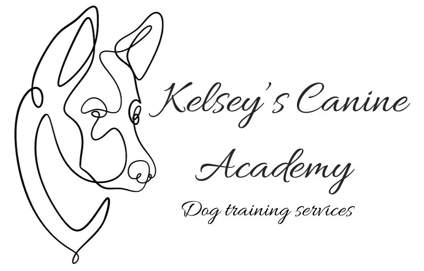 Kelsey&#39;s Canine Academy