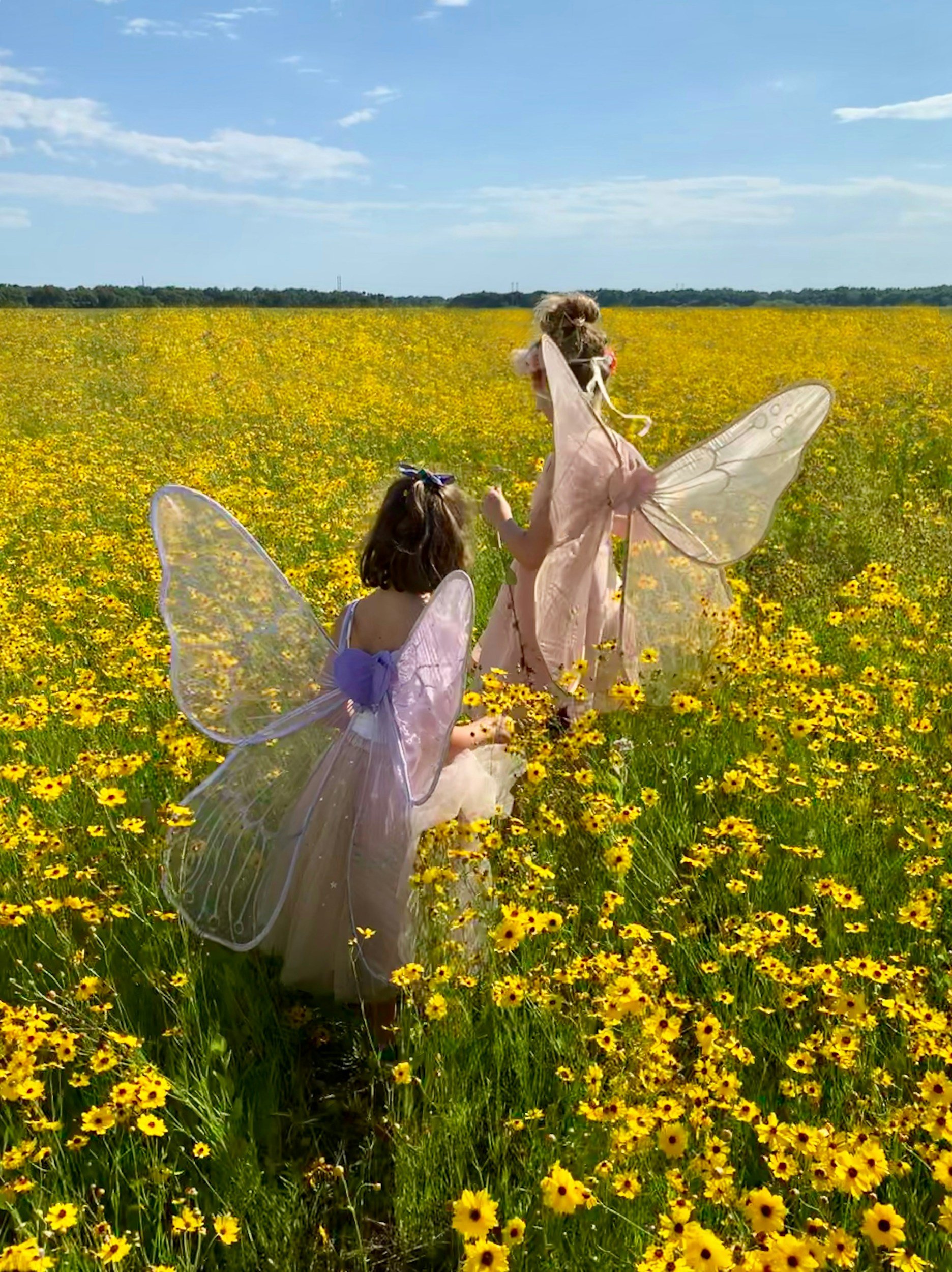 Fairy & Human Relations Congress (Quilcene)