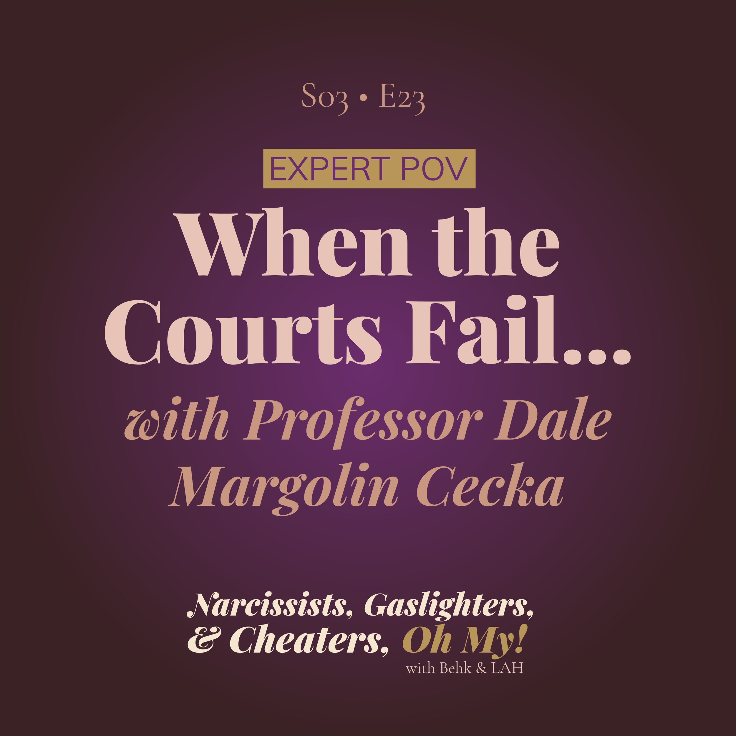 When the Courts Fail Survivors with Professor Dale Margolin Cecka