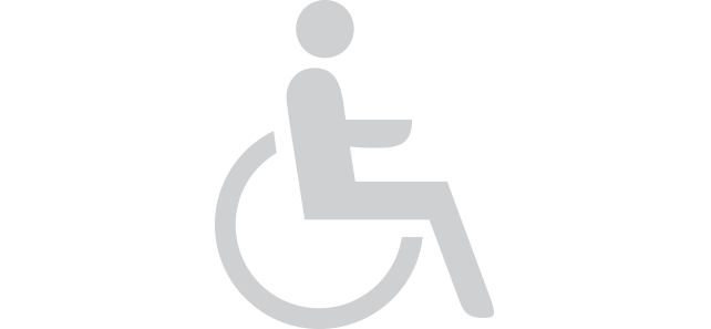 Handicap_access_20grey.png