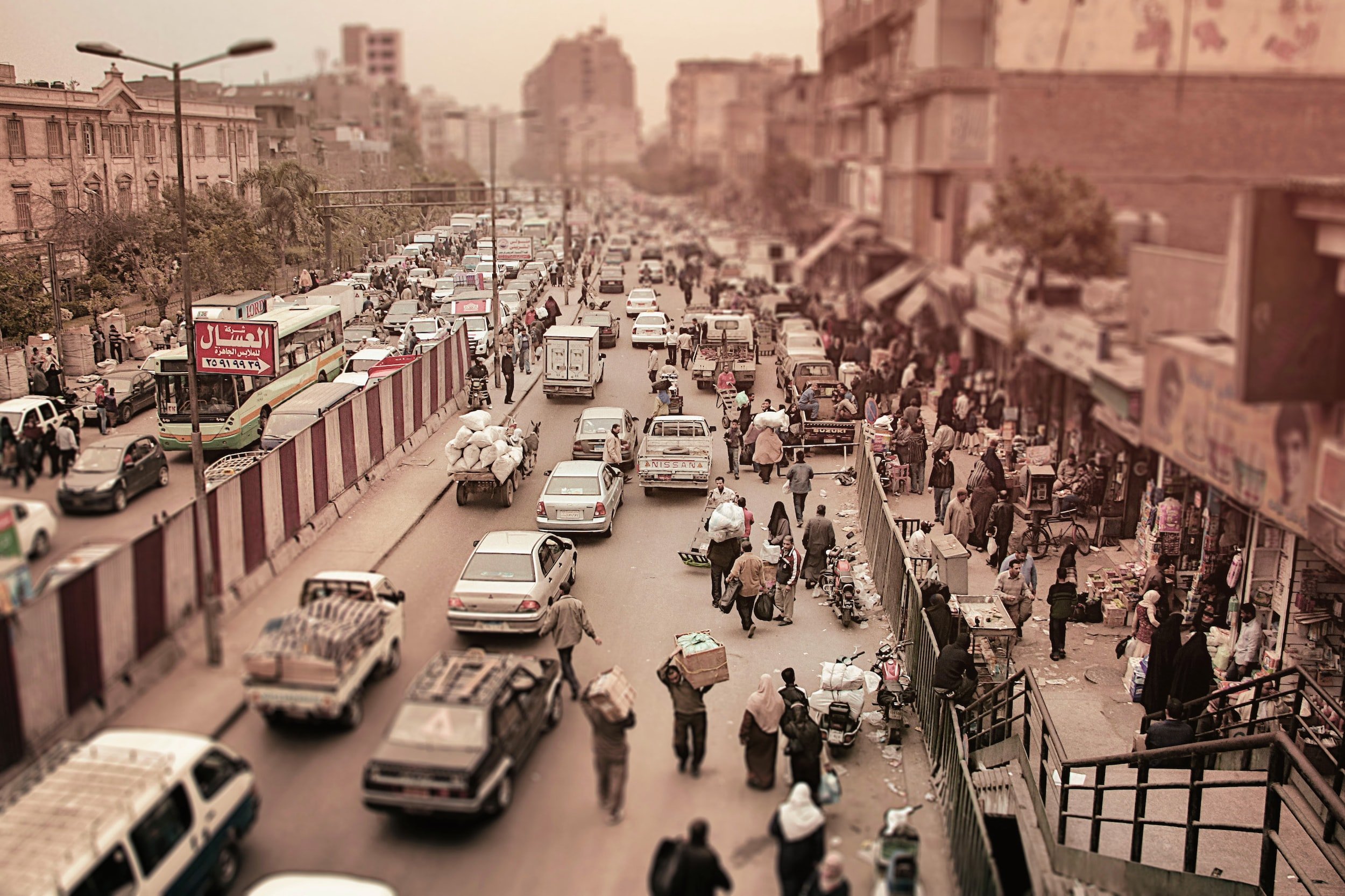 Observations From Egypt