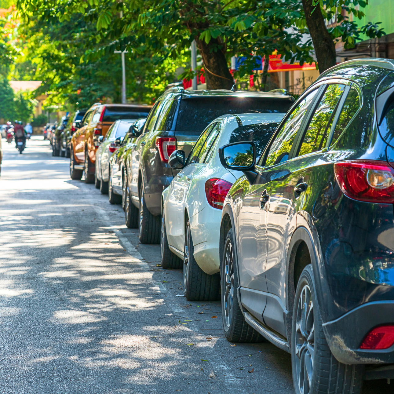 Row of parked cars on a tree-lined street